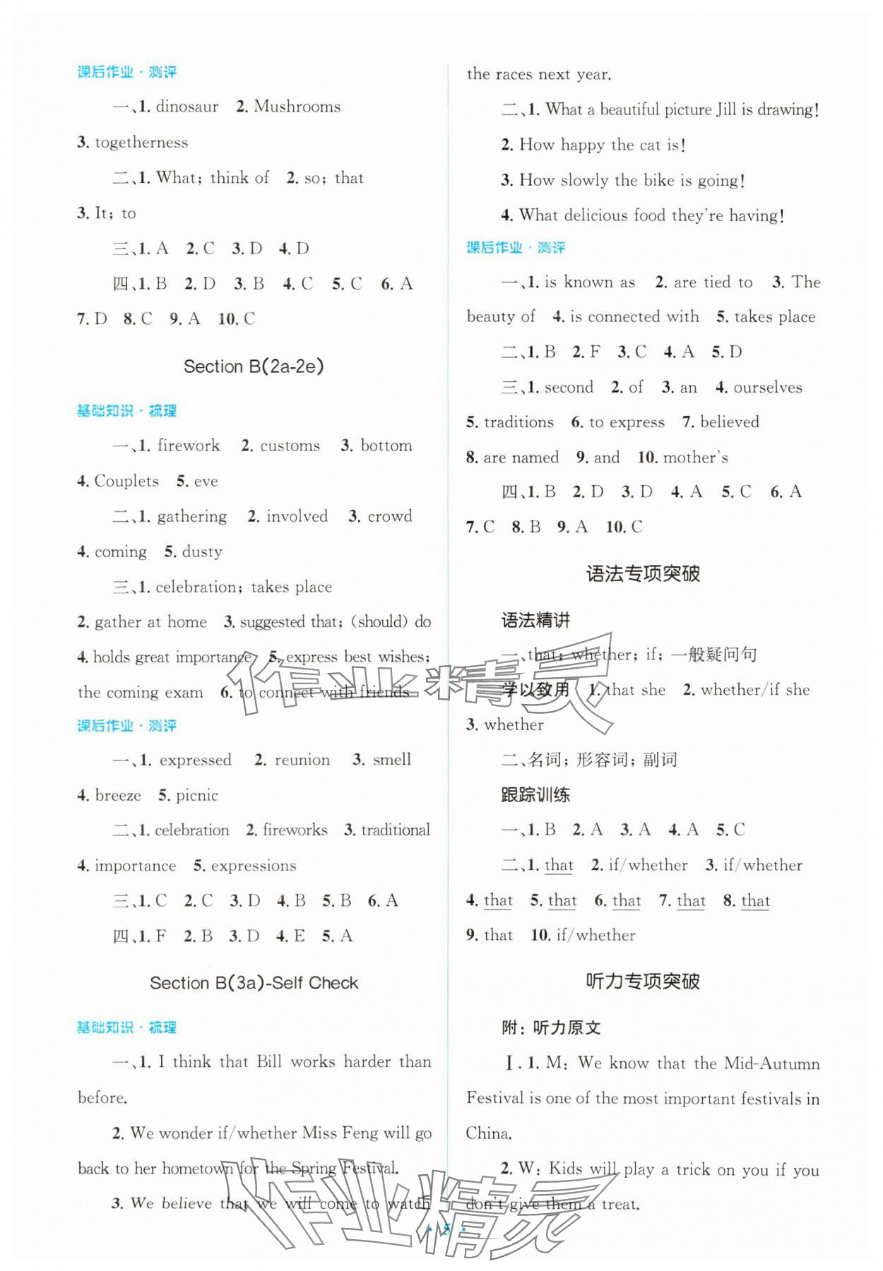 2024年人教金學(xué)典同步解析與測(cè)評(píng)學(xué)考練九年級(jí)英語全一冊(cè)人教版 第5頁