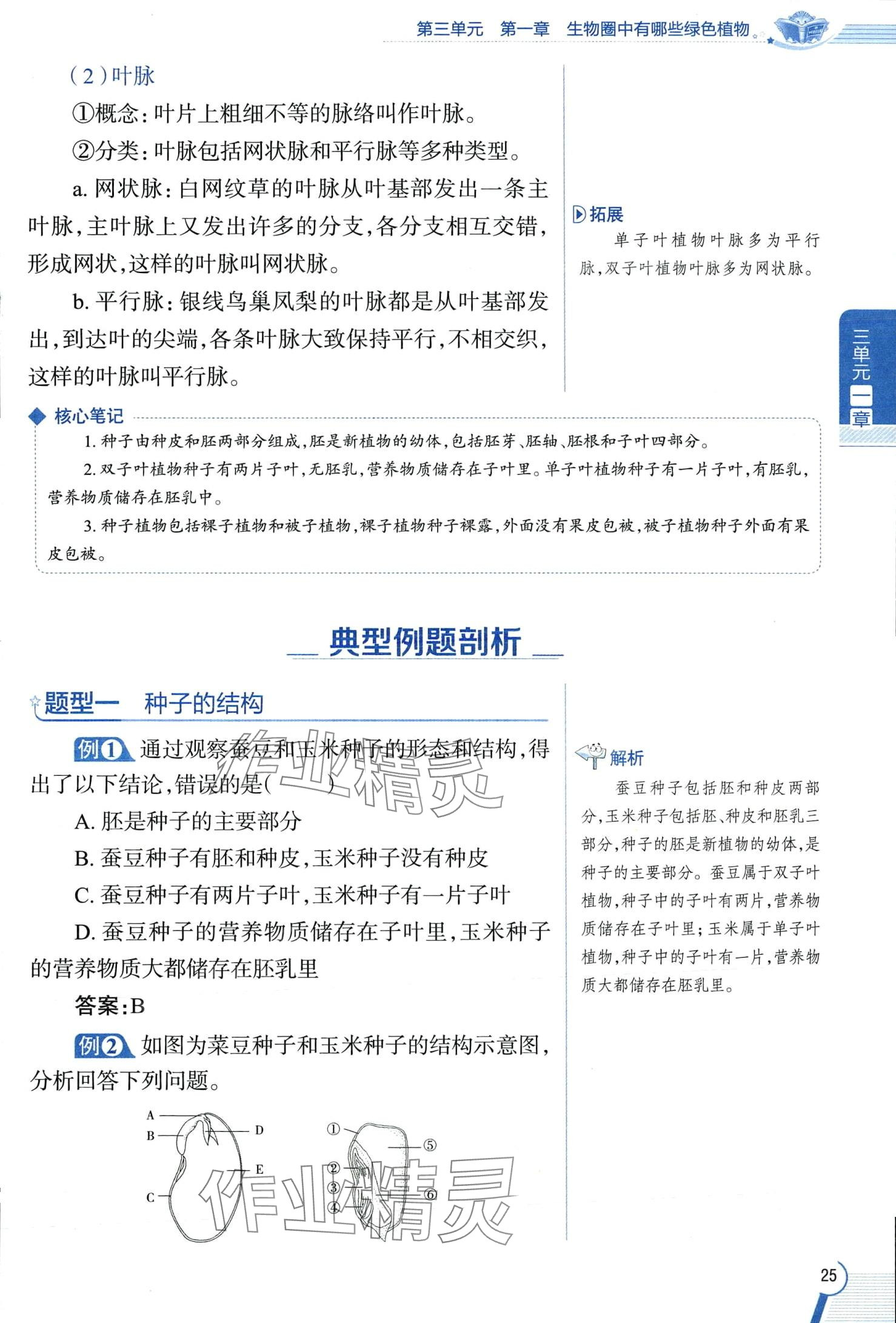 2024年教材課本六年級生物下冊魯科版 第25頁