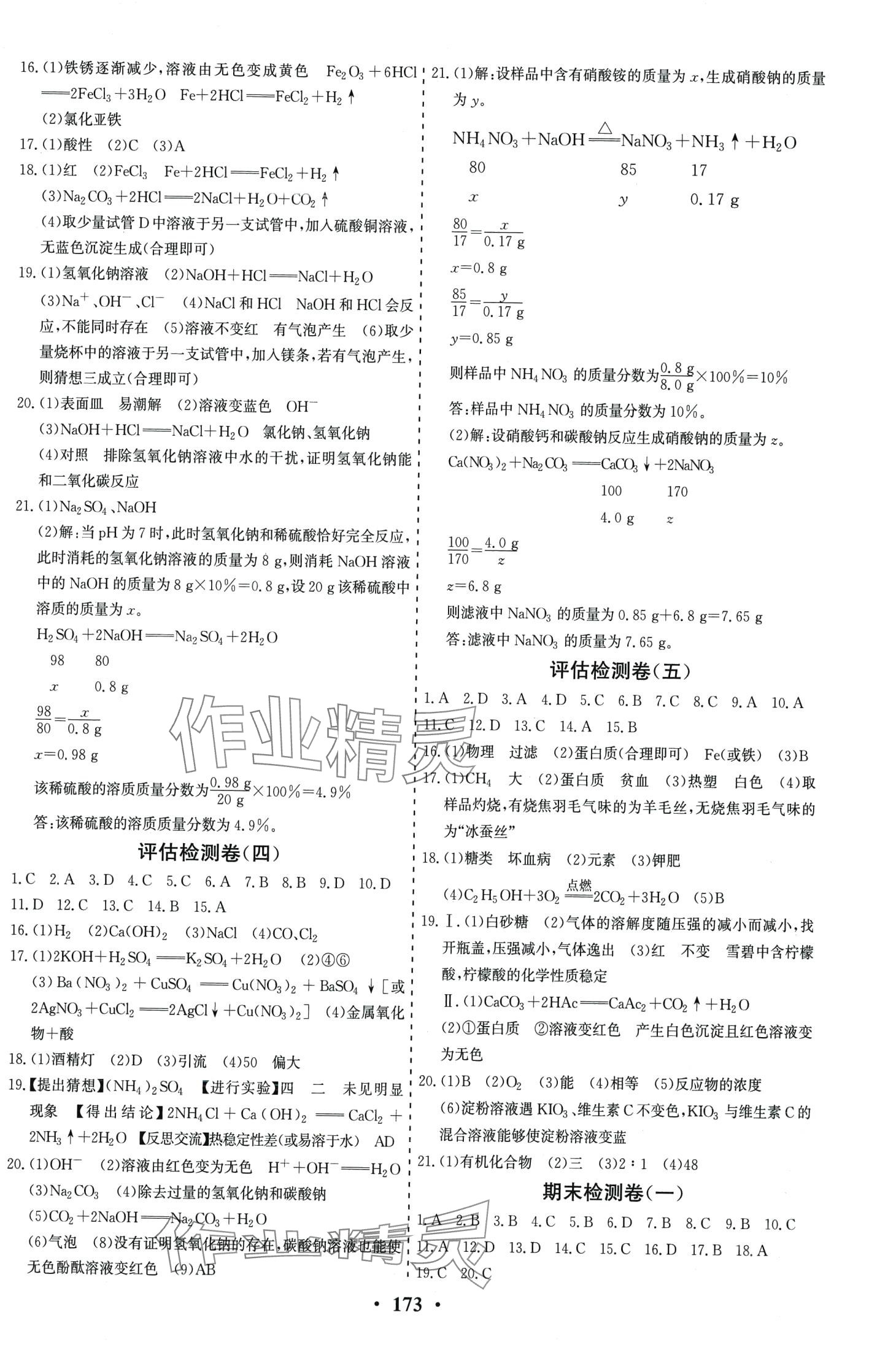 2024年初中知識(shí)與能力測試卷九年級(jí)化學(xué)下冊(cè)人教版 第2頁