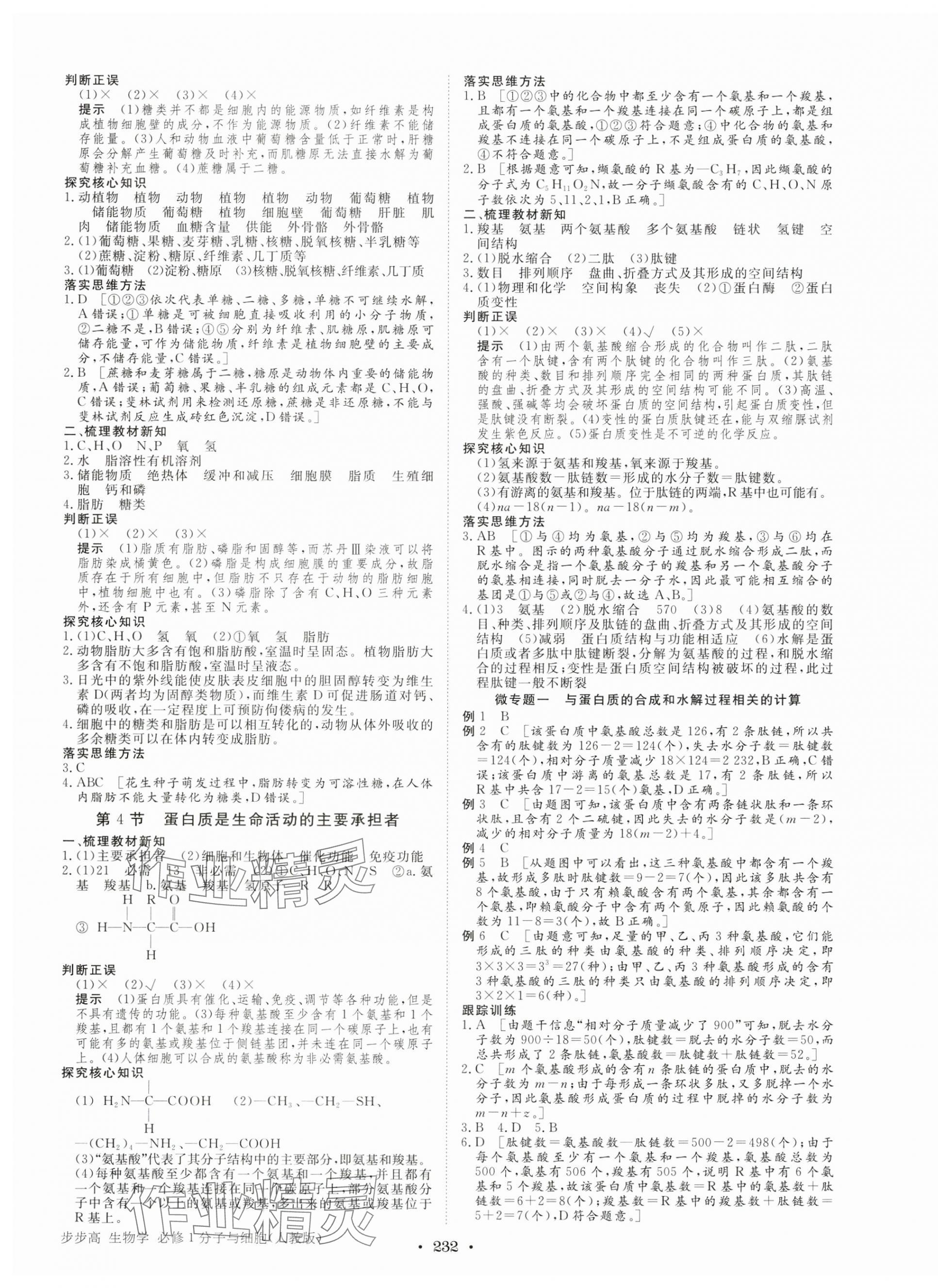 2024年步步高学习笔记生物必修1人教版 参考答案第3页