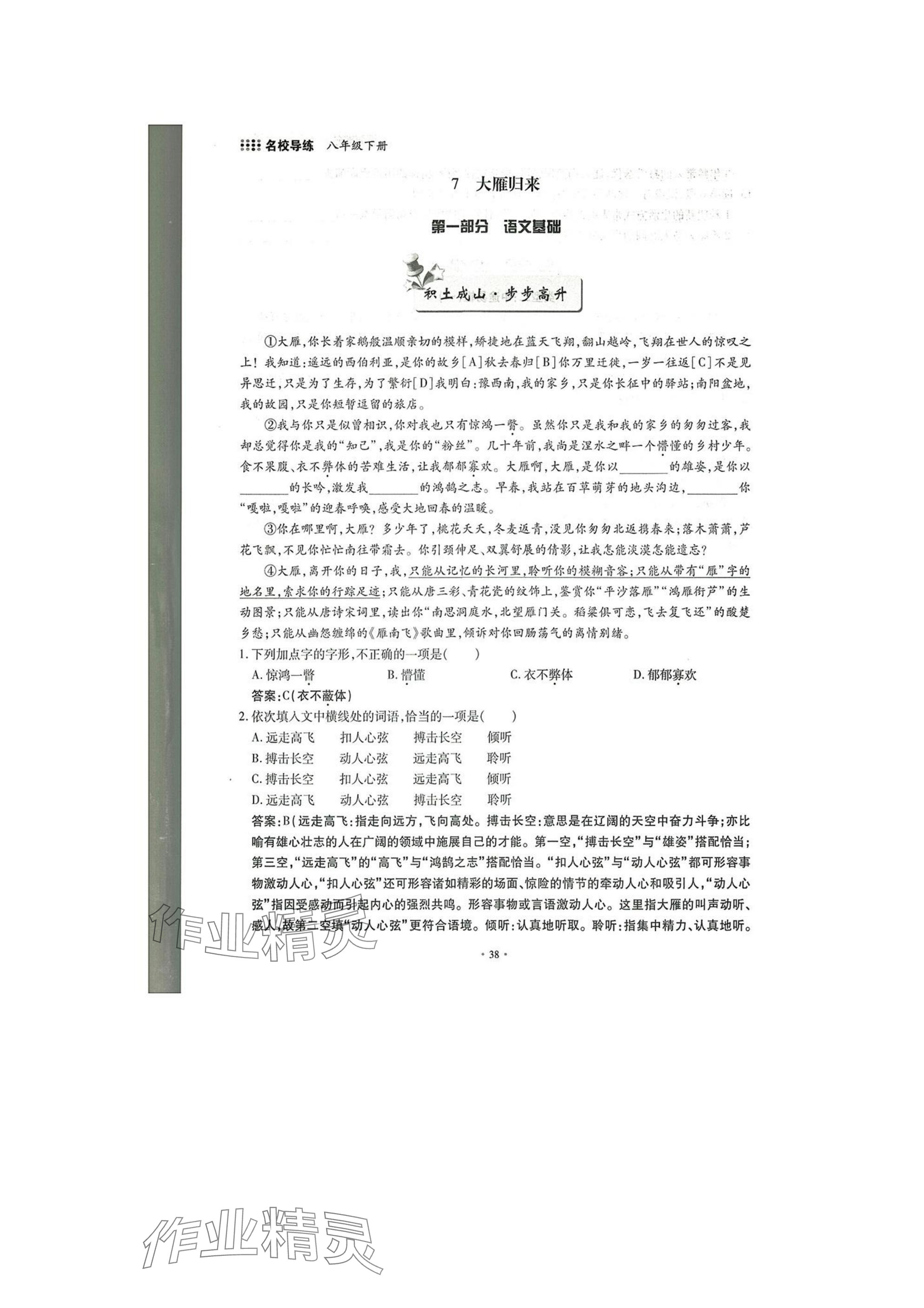 2025年名校導(dǎo)練八年級語文下冊人教版 參考答案第38頁