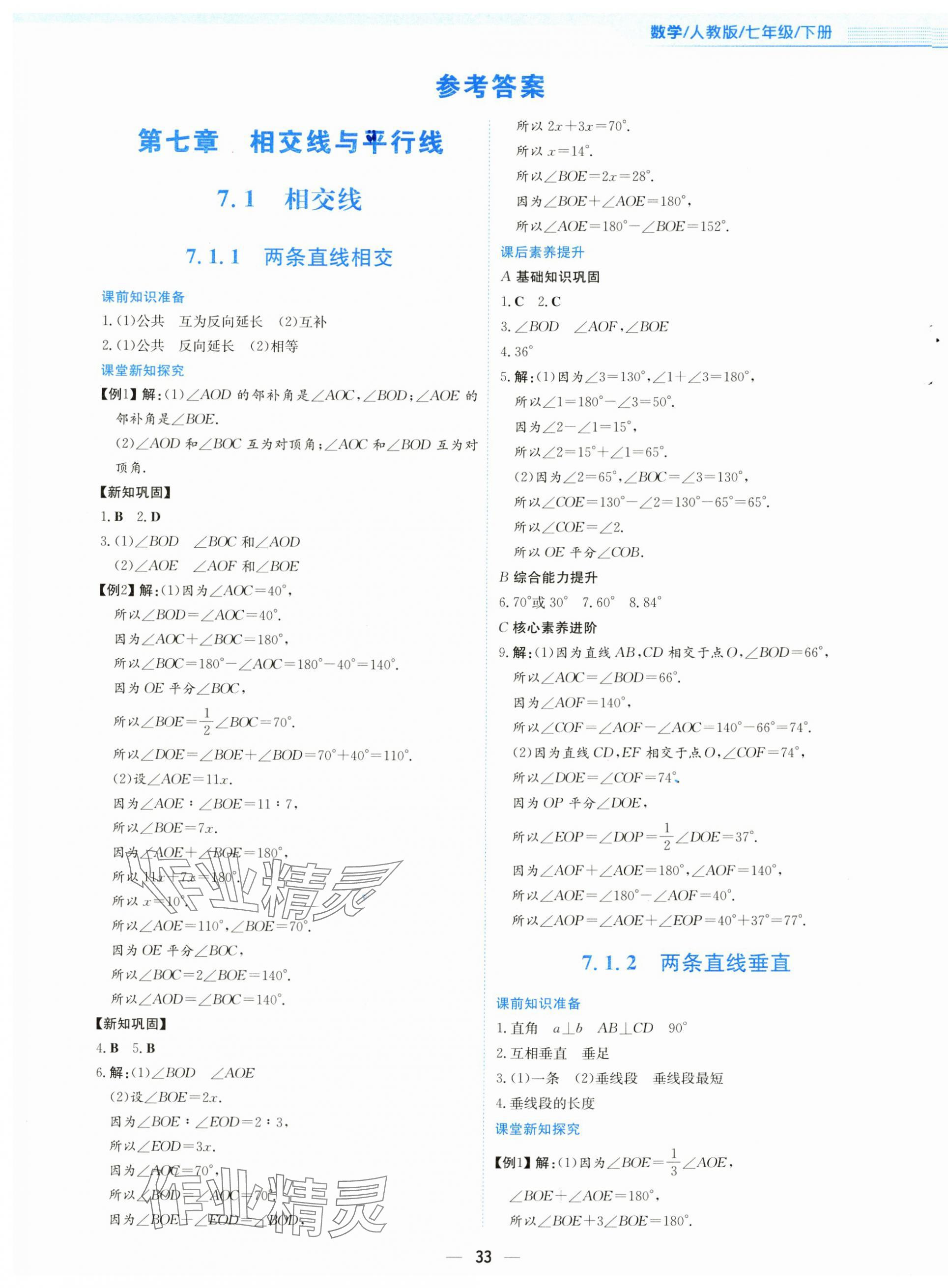 2025年新编基础训练七年级数学下册人教版 第1页