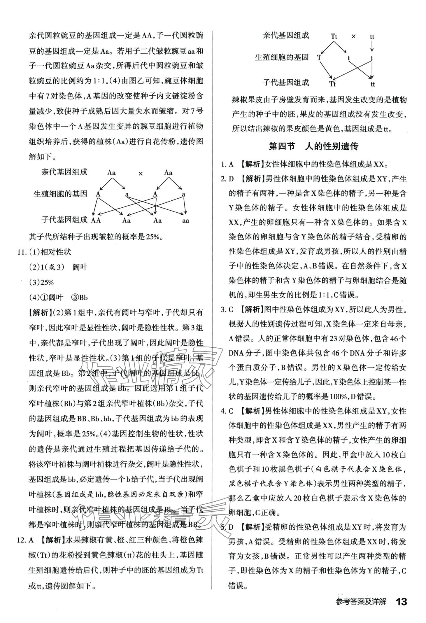 2024年满分训练设计八年级生物下册人教版 第12页