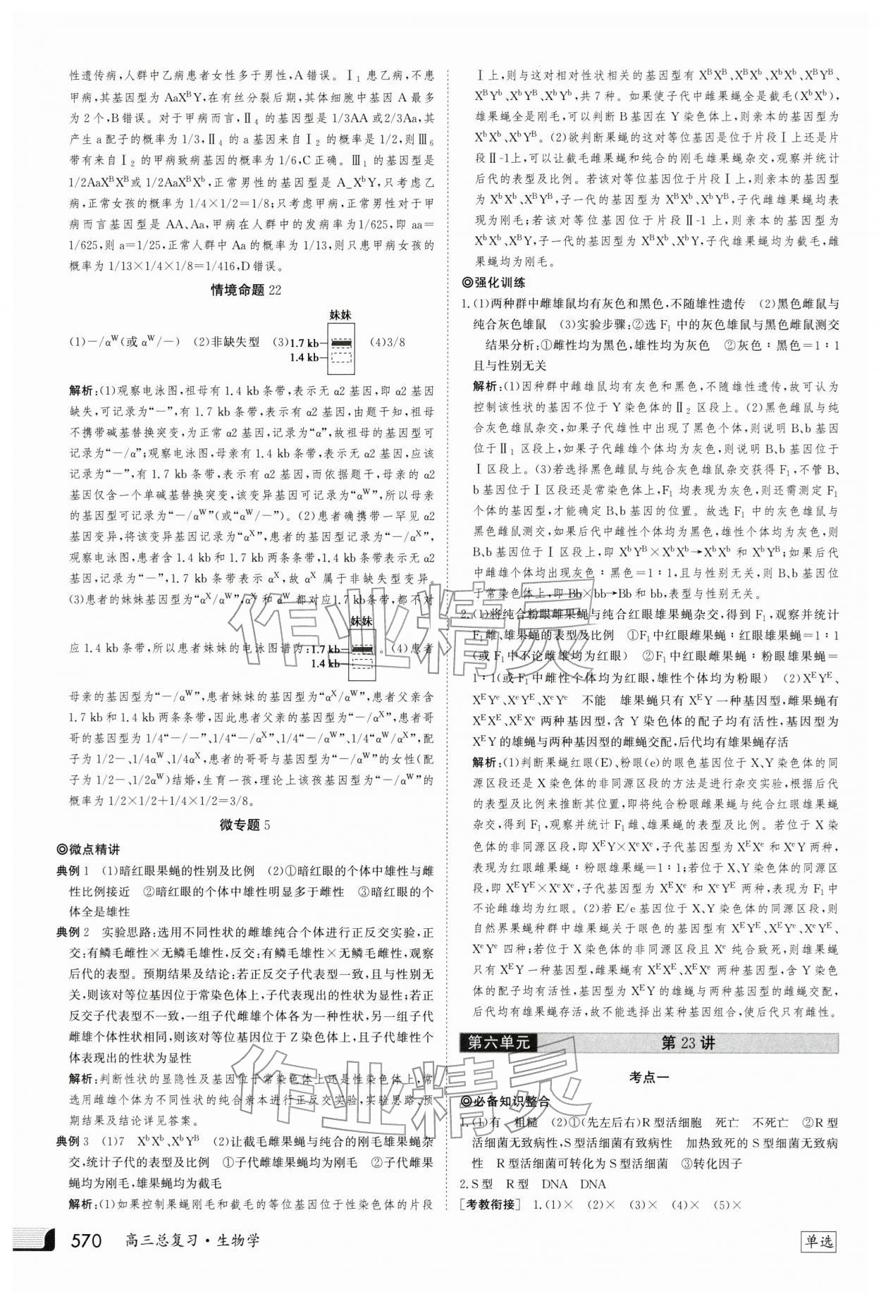 2025年金版新学案高三总复习生物 第30页