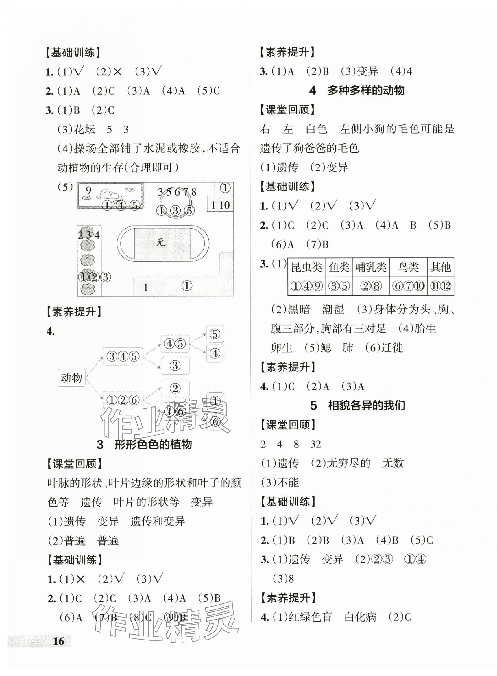 2025年小學(xué)學(xué)霸作業(yè)本六年級(jí)科學(xué)下冊(cè)教科版 參考答案第3頁(yè)