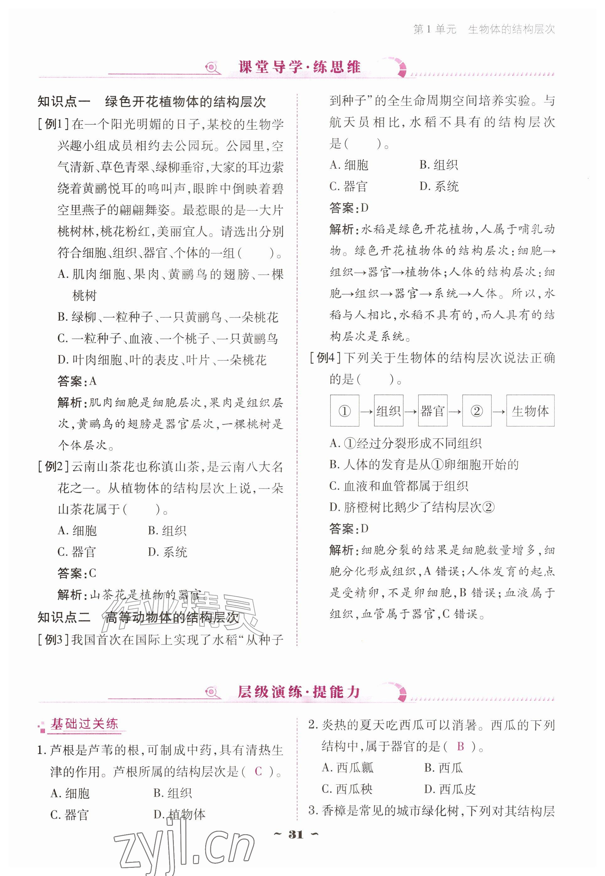 2026年云南省标准教辅优佳学案七年级历史上册人教版&nbsp;参考答案第31页