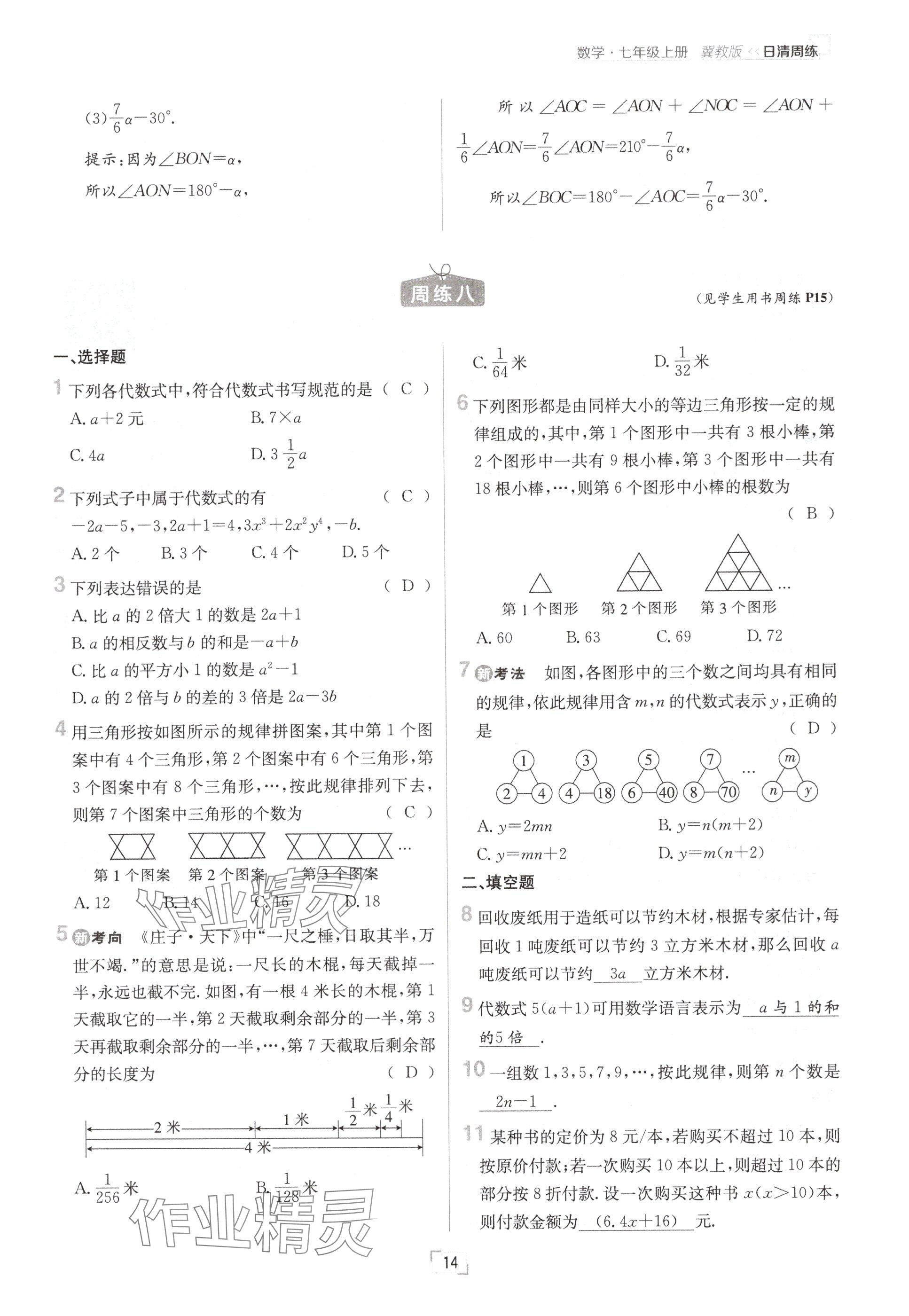 2024年日清周练七年级数学上册冀教版 参考答案第14页