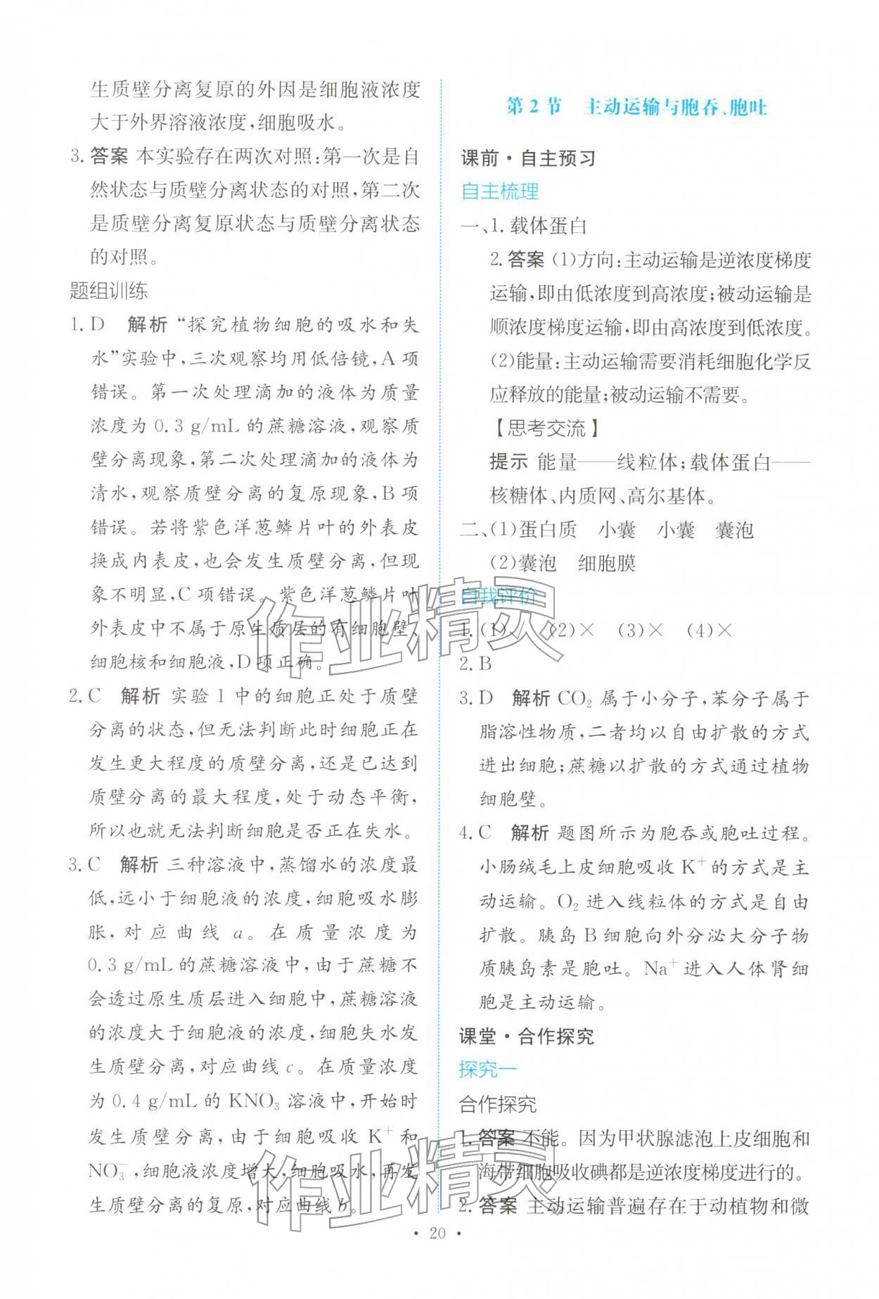 2025年能力培养与测试高中生物必修1人教版 参考答案第19页