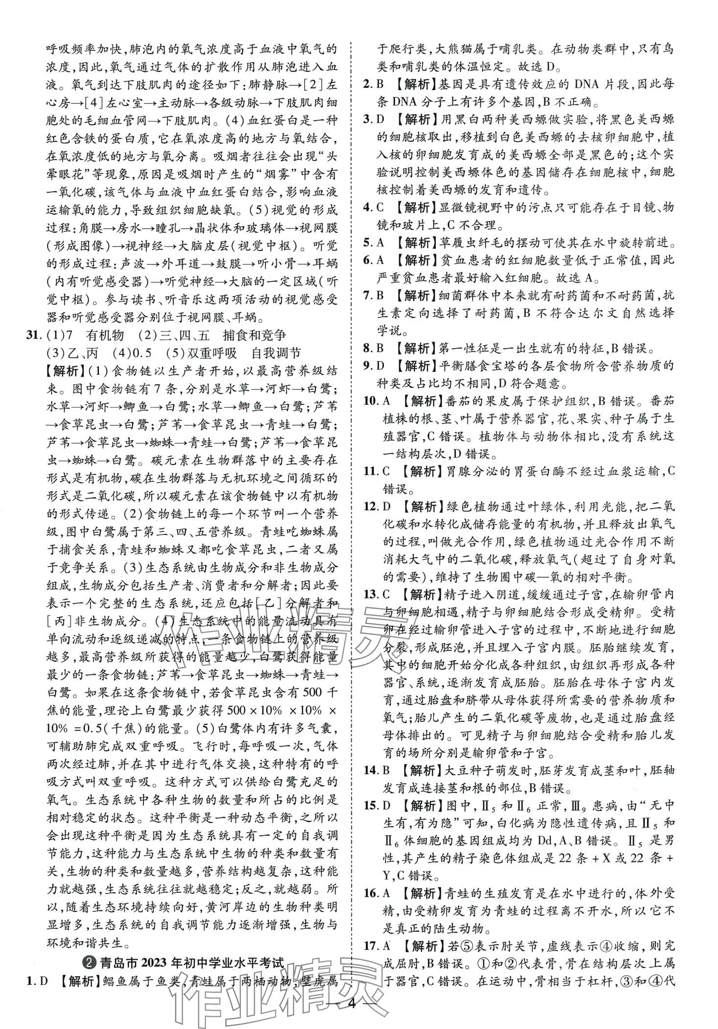 2024年鲁人泰斗中考必备中考试题汇编生物中考山东专版&nbsp;第4页