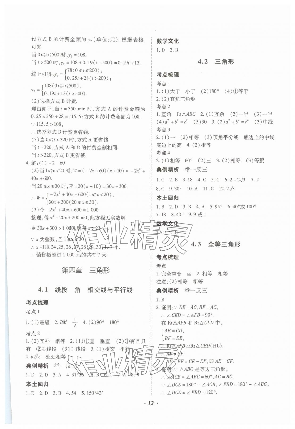 2024年本土攻略精準(zhǔn)復(fù)習(xí)方案數(shù)學(xué)中考云南專版 參考答案第12頁(yè)