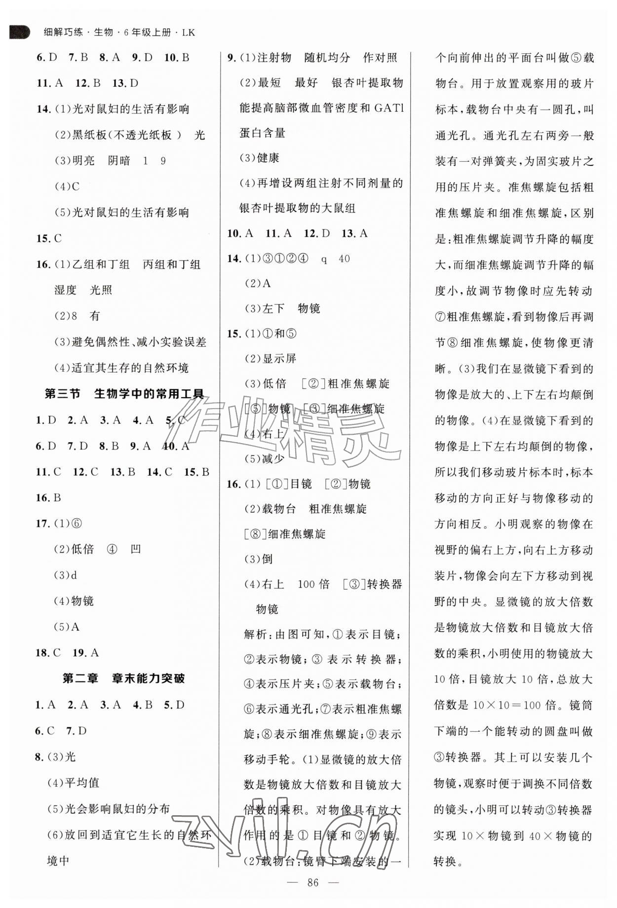 2026年细解巧练六年级生物上册鲁科版五四制&nbsp;第2页