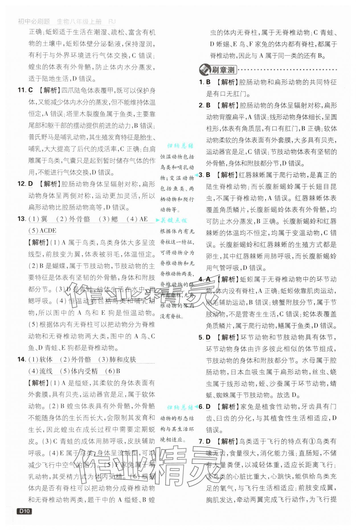 2024年初中必刷題八年級(jí)生物上冊人教版 第10頁