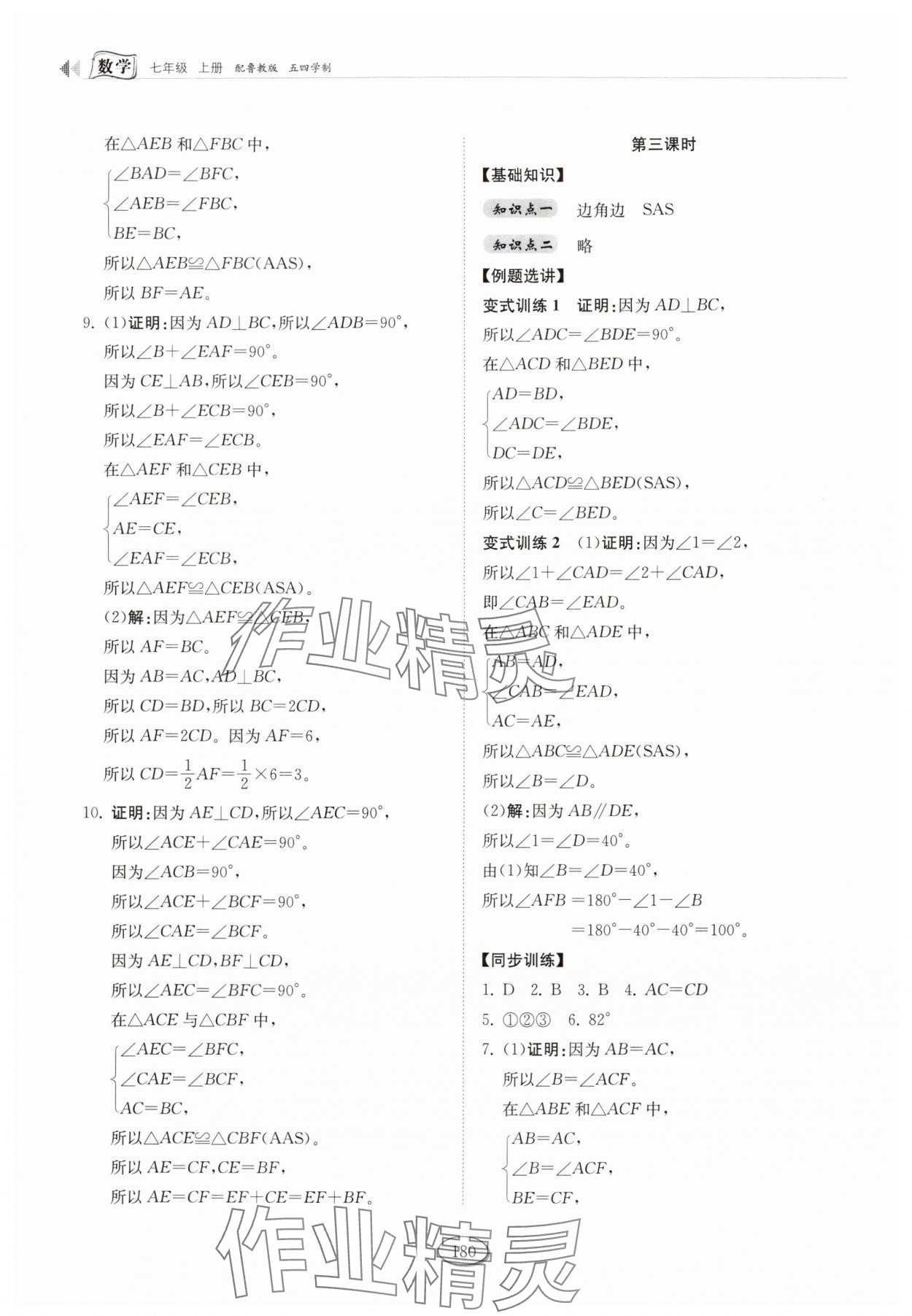2025年同步练习册山东科学技术出版社七年级数学上册鲁教版五四制 参考答案第8页