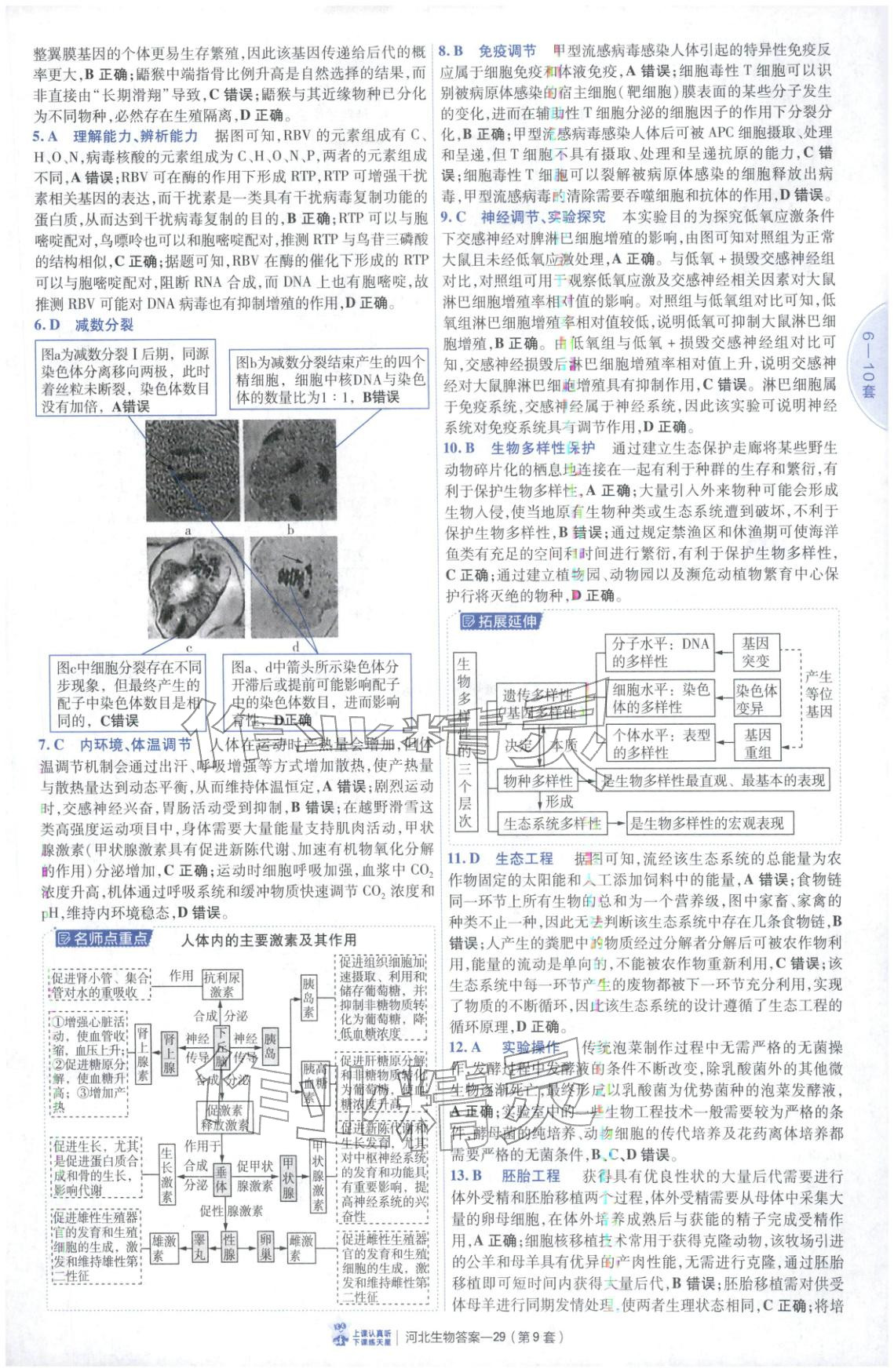 2026年金考卷优秀模拟试卷汇编45套高中生物河北专版 第29页