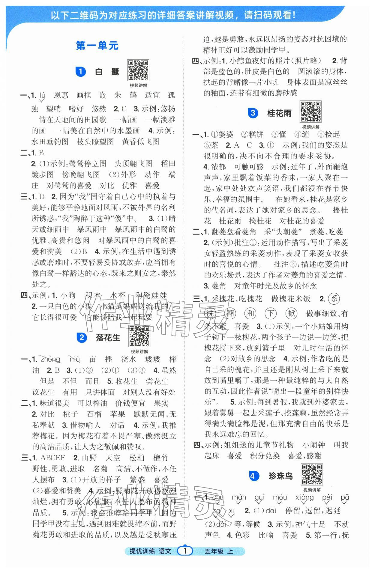 2025年阳光同学课时提优训练五年级语文上册人教版 第1页
