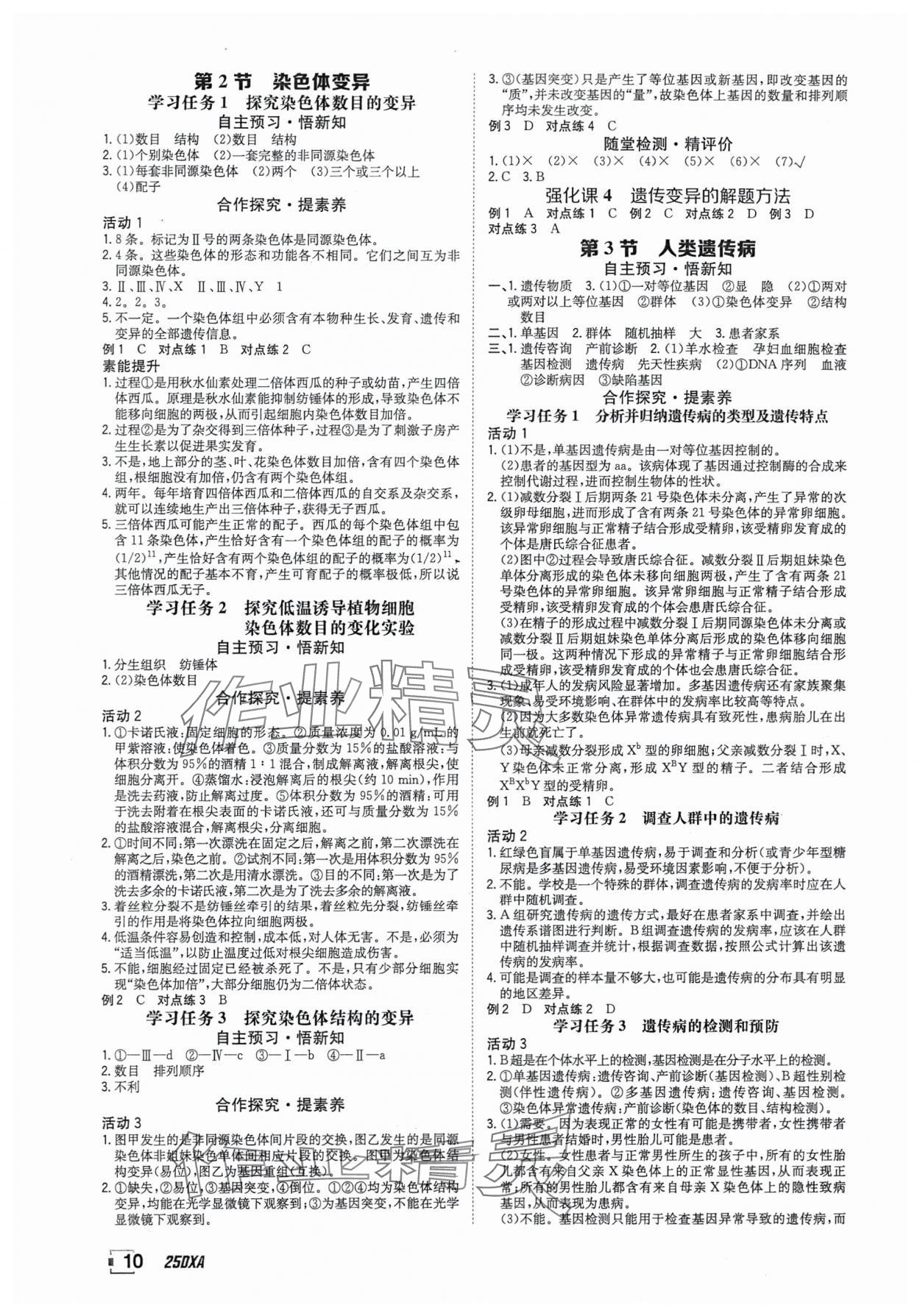2025年金太陽導(dǎo)學(xué)案高中生物必修2人教版 參考答案第10頁