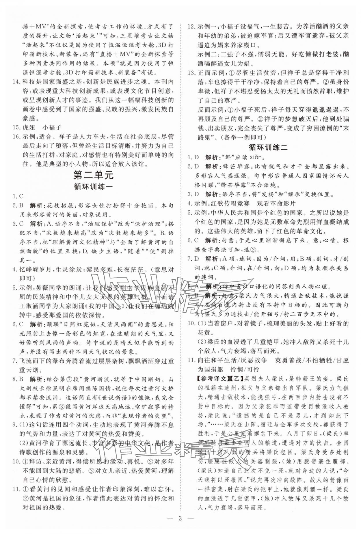 2025年課堂過關(guān)循環(huán)練七年級語文下冊人教版 第3頁