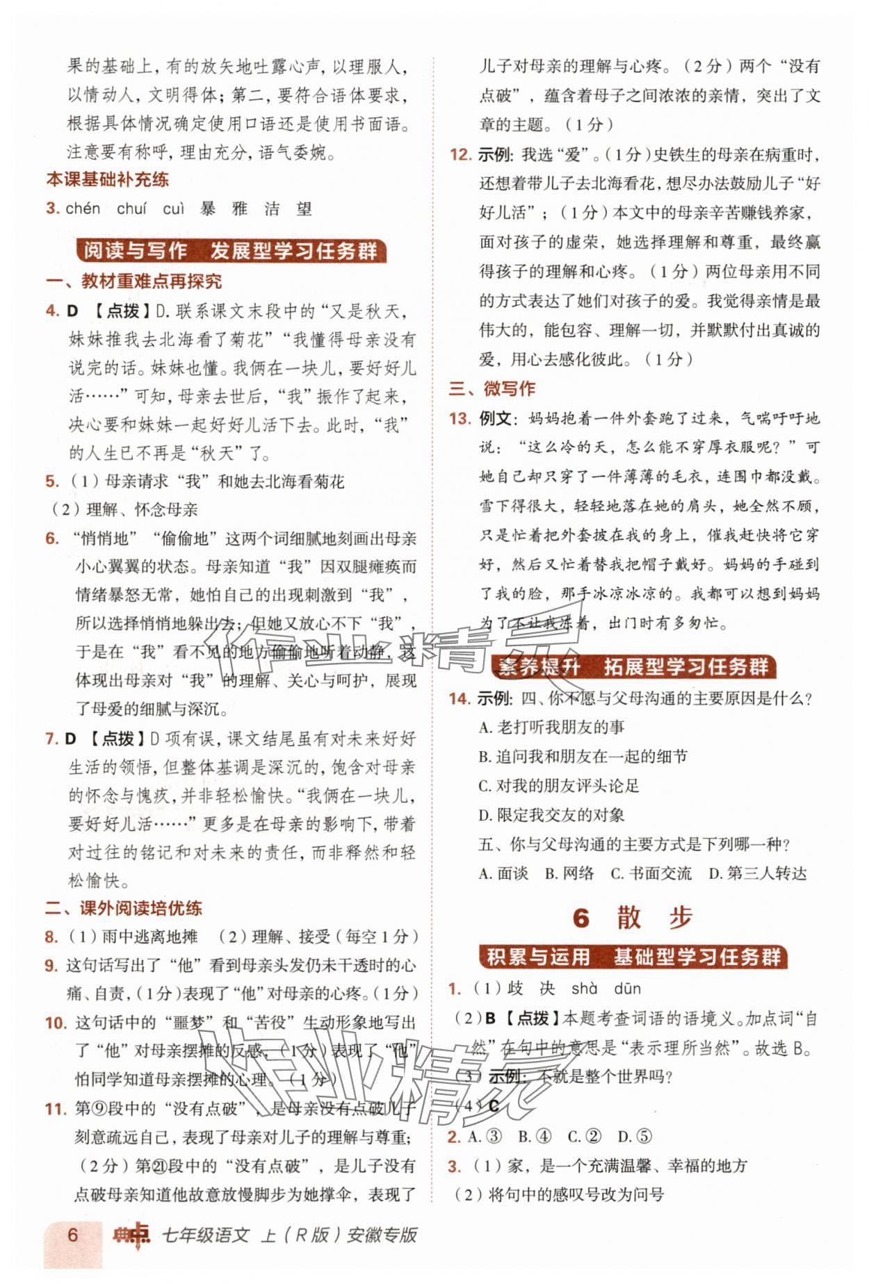 2025年综合应用创新题典中点七年级语文上册人教版安徽专版 第6页