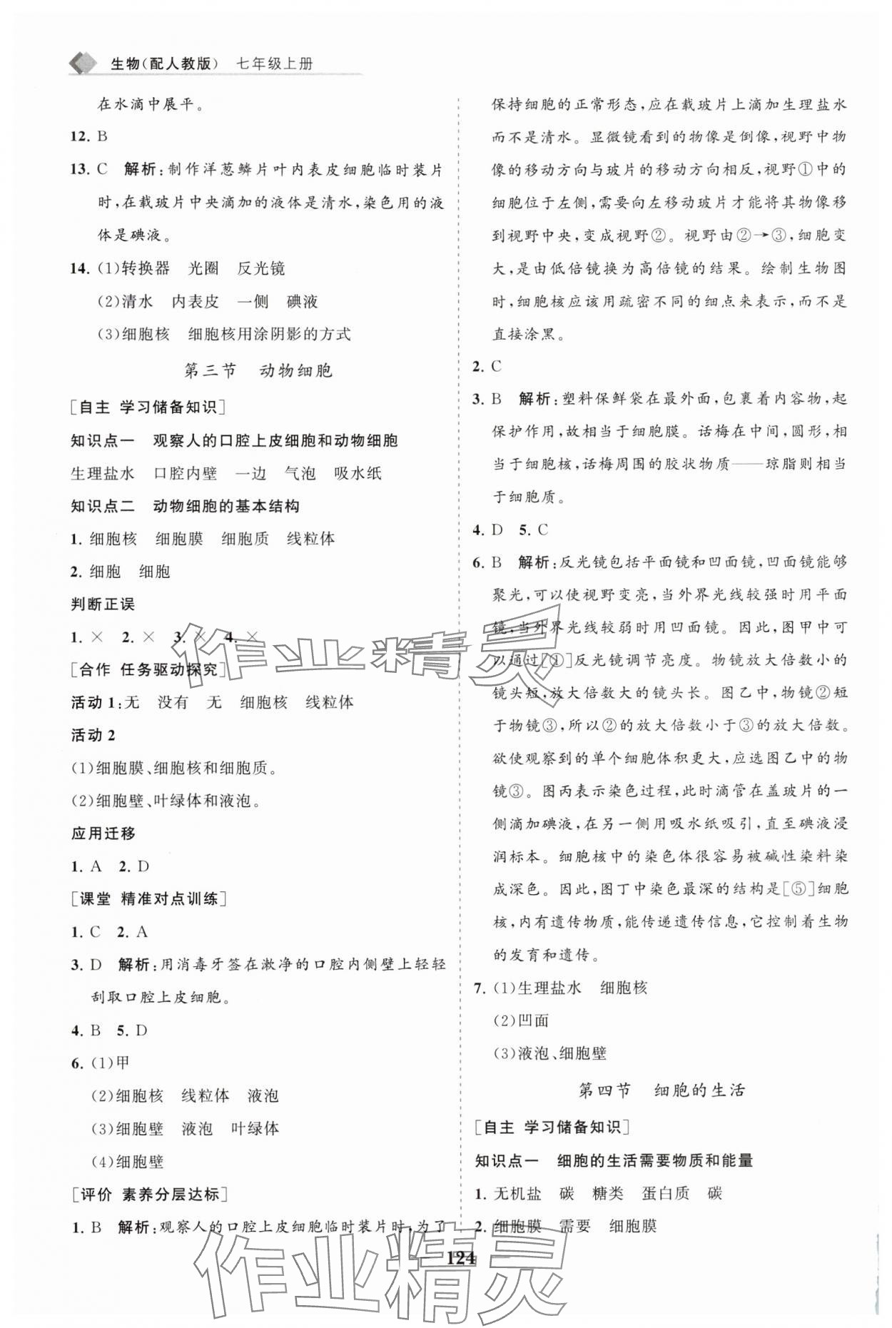 2025年新課程同步練習冊七年級生物上冊人教版 第4頁