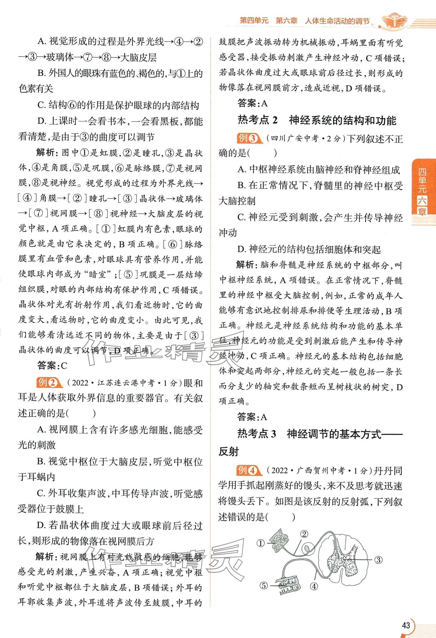 2024年教材课本七年级生物下册鲁科版&nbsp;第43页