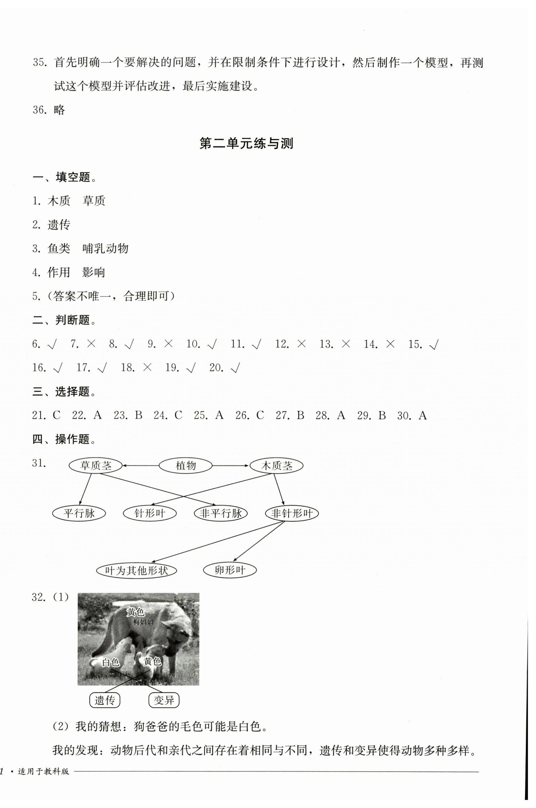 2025年同步練與測(cè)六年級(jí)科學(xué)下冊(cè)教科版 第2頁
