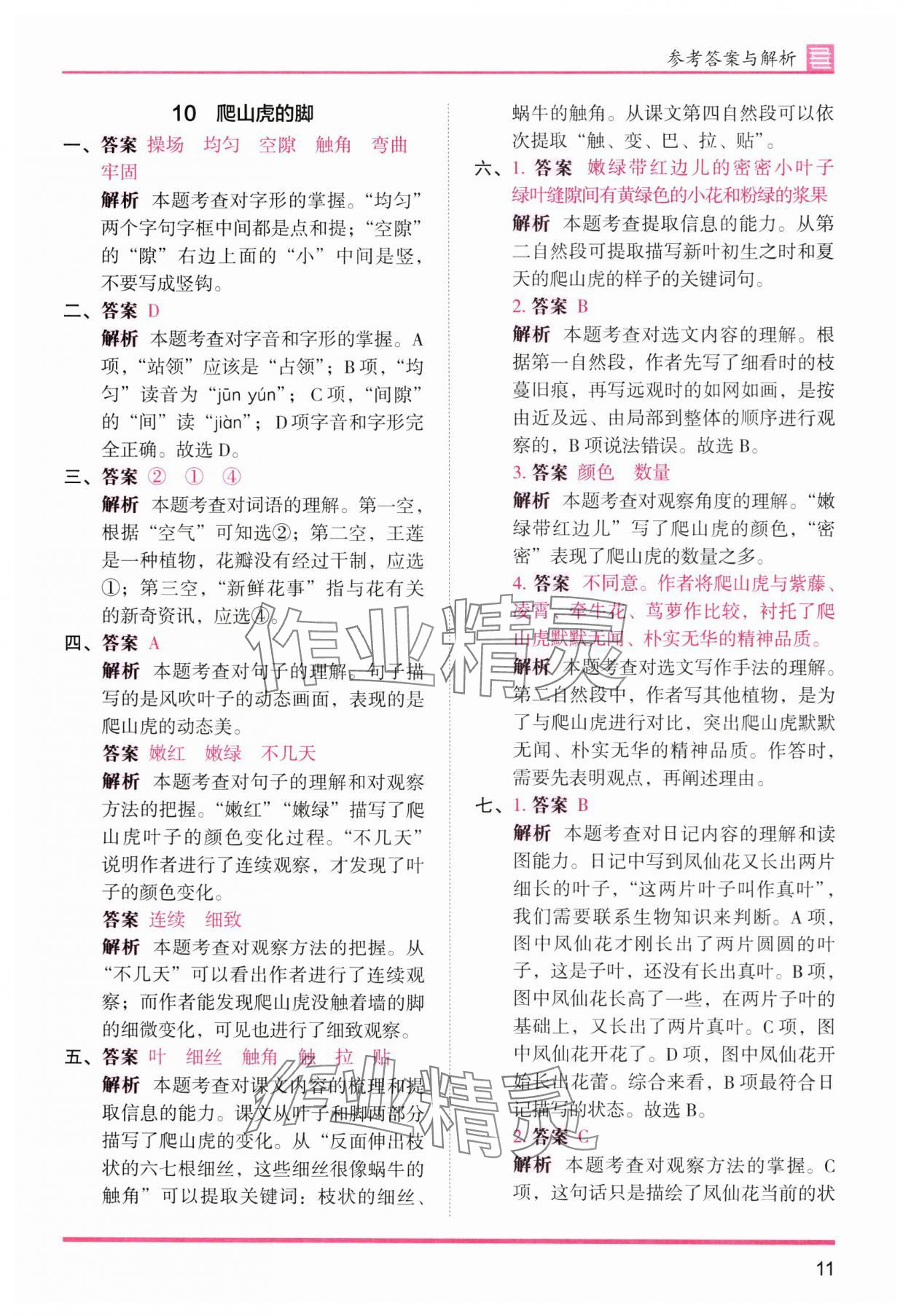 2025年木头马分层课课练四年级语文上册人教版浙江专版 第11页