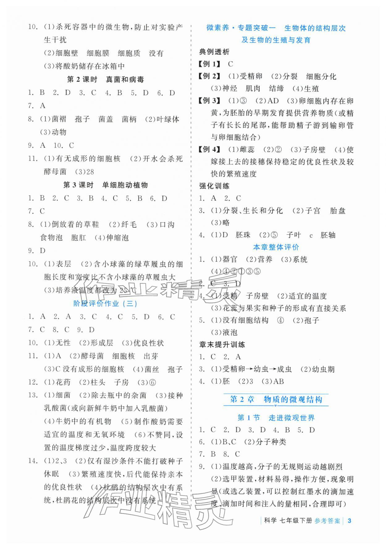 2026年精彩练习就练这一本七年级科学下册浙教版评议教辅&nbsp;第3页