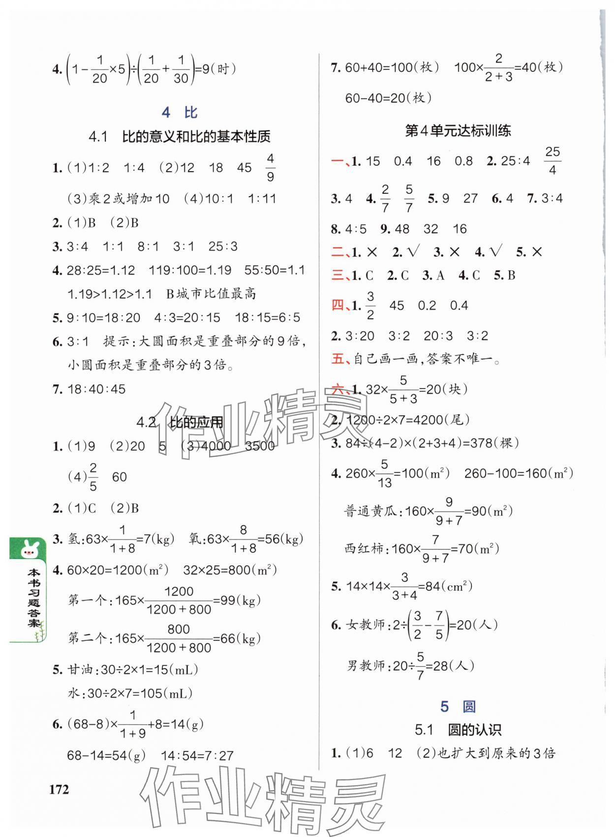 2024年P(guān)ASS教材搭檔六年級(jí)數(shù)學(xué)上冊(cè)人教版 參考答案第6頁(yè)