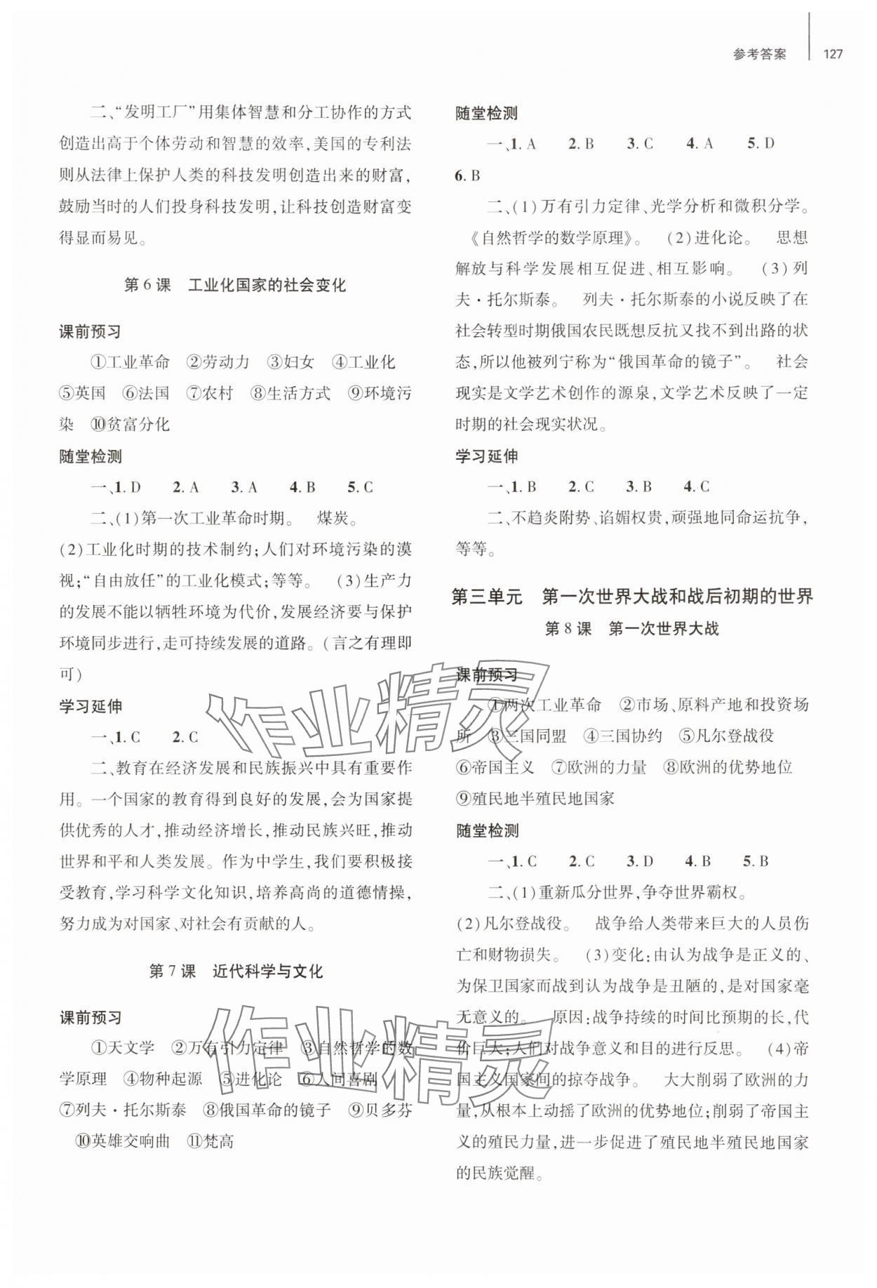 2025年同步練習冊大象出版社九年級歷史下冊人教版 第3頁