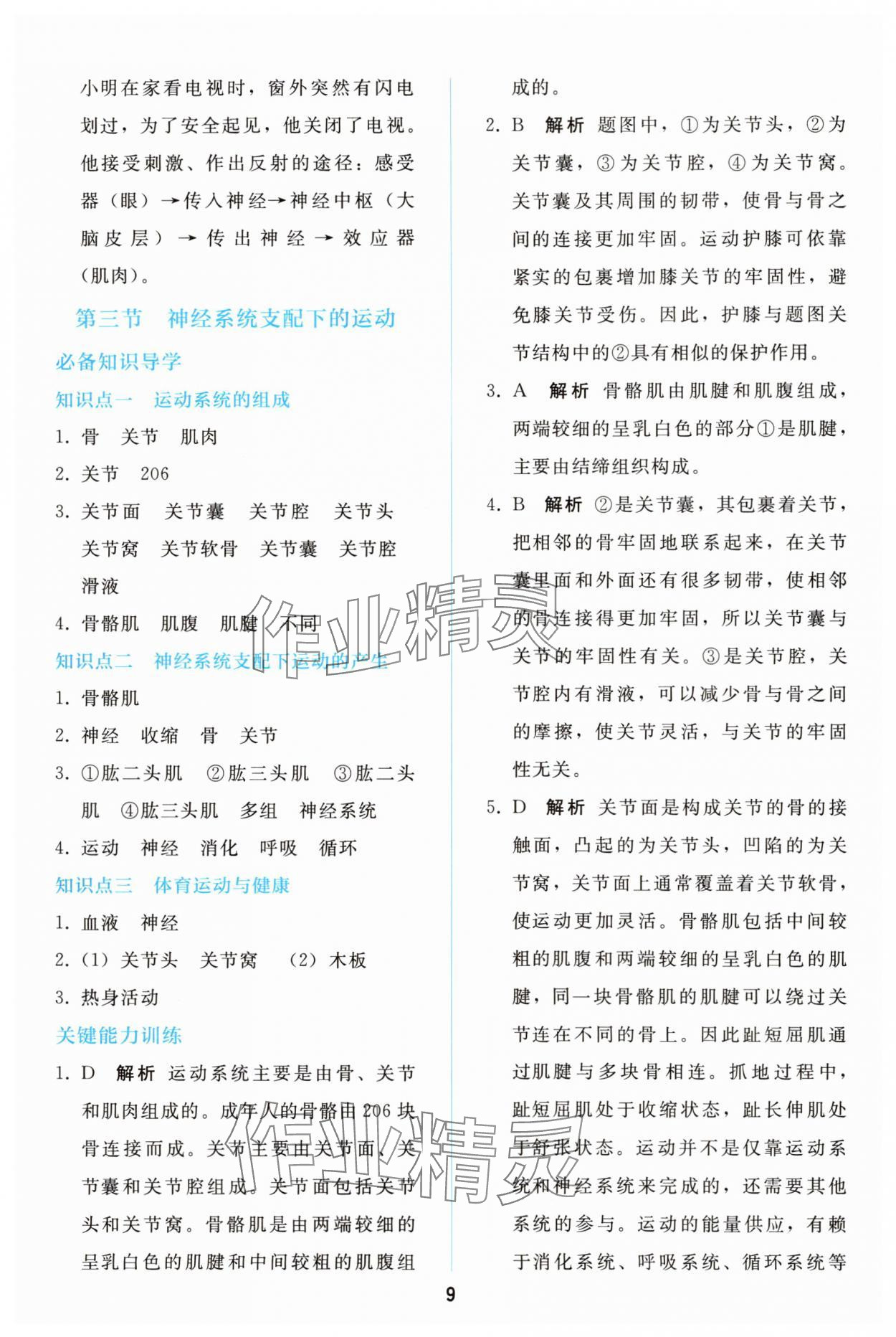 2025年同步轻松练习八年级生物上册人教版精编版 参考答案第8页