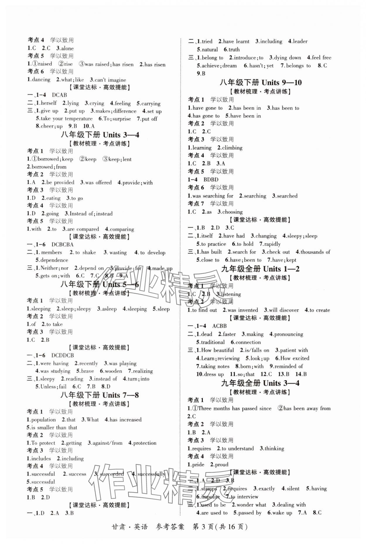 2025年中考导学案英语甘肃专版 第3页