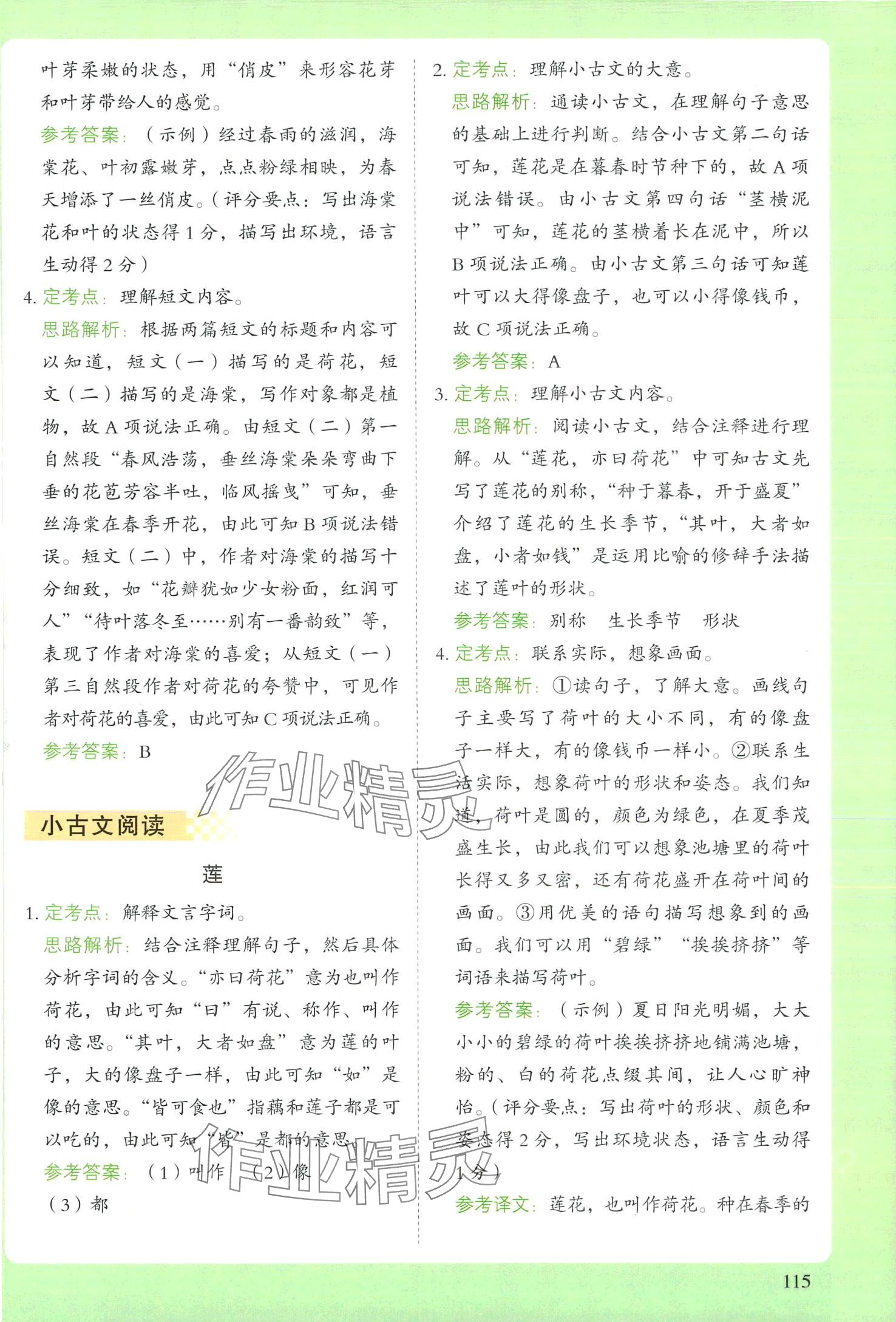 2024年閱讀理解與答題模板三年級語文下冊人教版 第4頁
