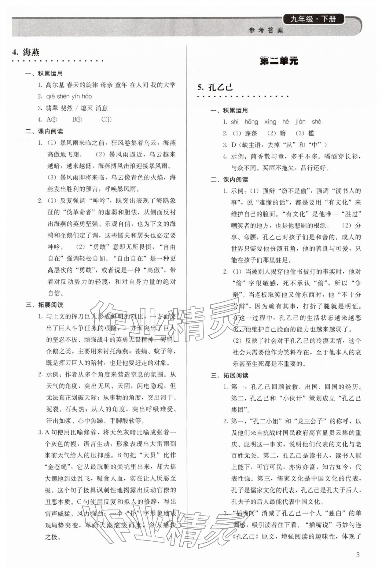 2026年补充习题九年级语文下册人教版人民教育出版社&nbsp;第3页