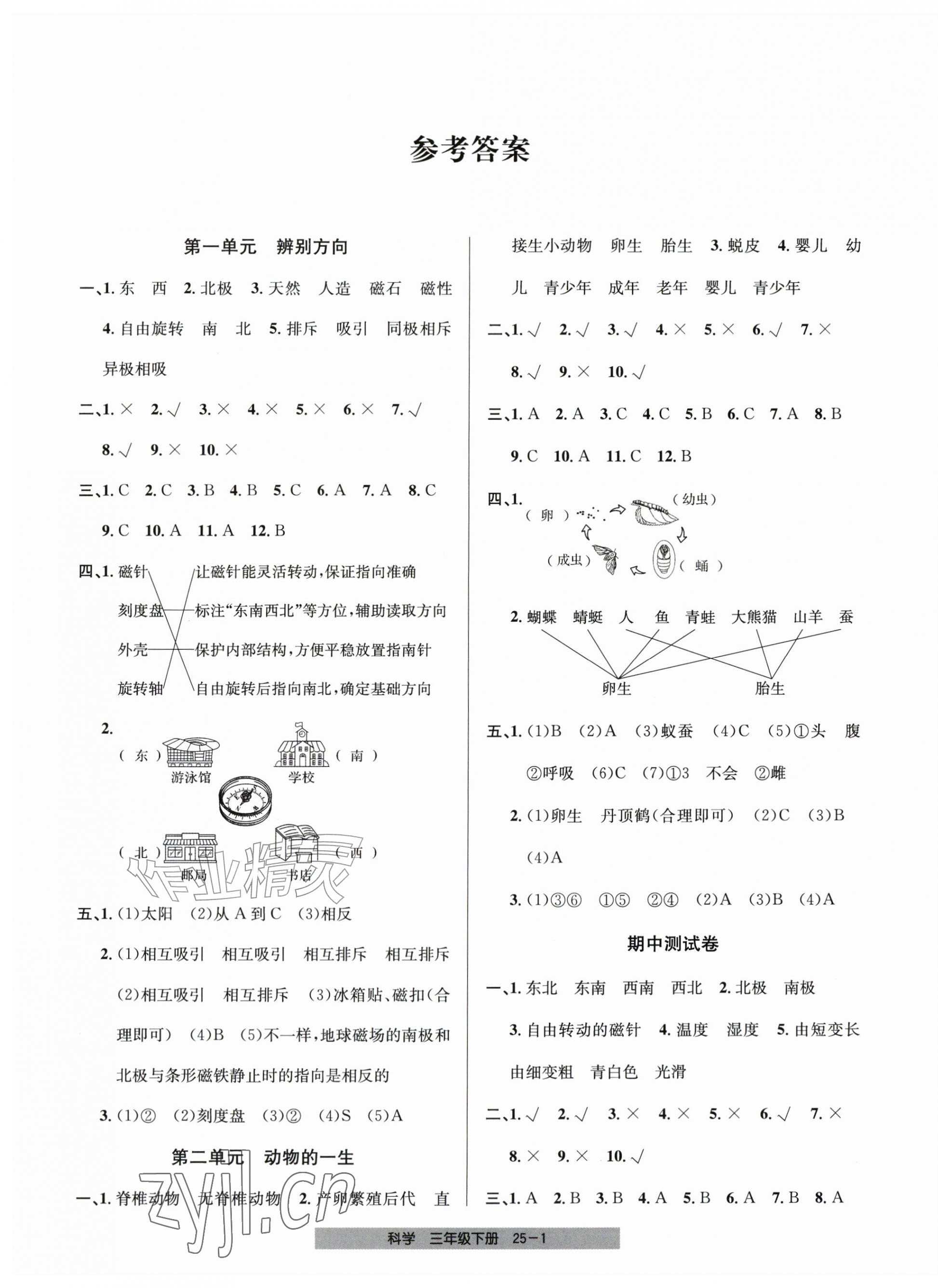 2026年期末直通车三年级科学下册教科版&nbsp;第1页