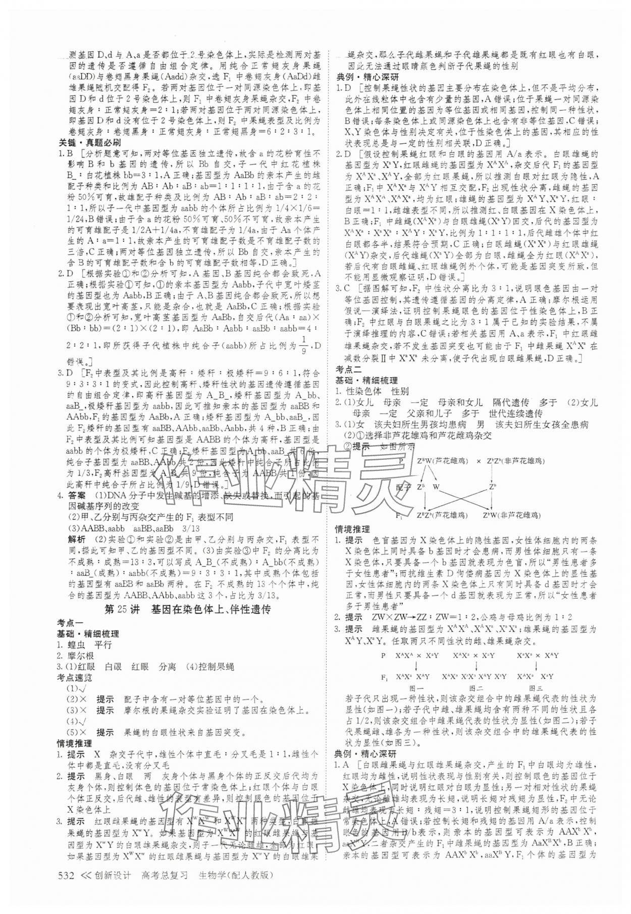 2025年創(chuàng)新設計高考總復習生物 參考答案第28頁