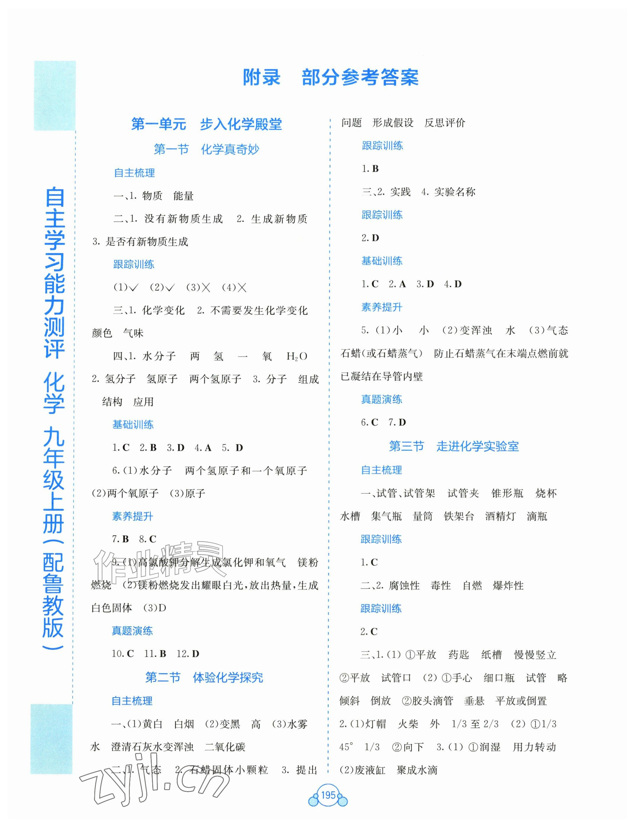 2026年自主学习能力测评九年级化学上册鲁教版&nbsp;第1页