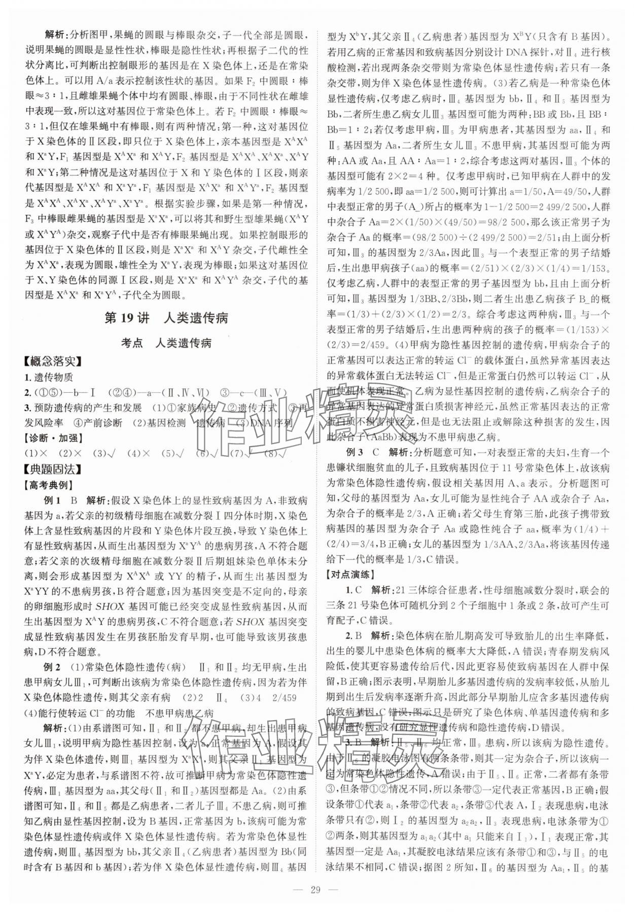 2025年高考一輪復習南方鳳凰臺生物廣東專版 第29頁