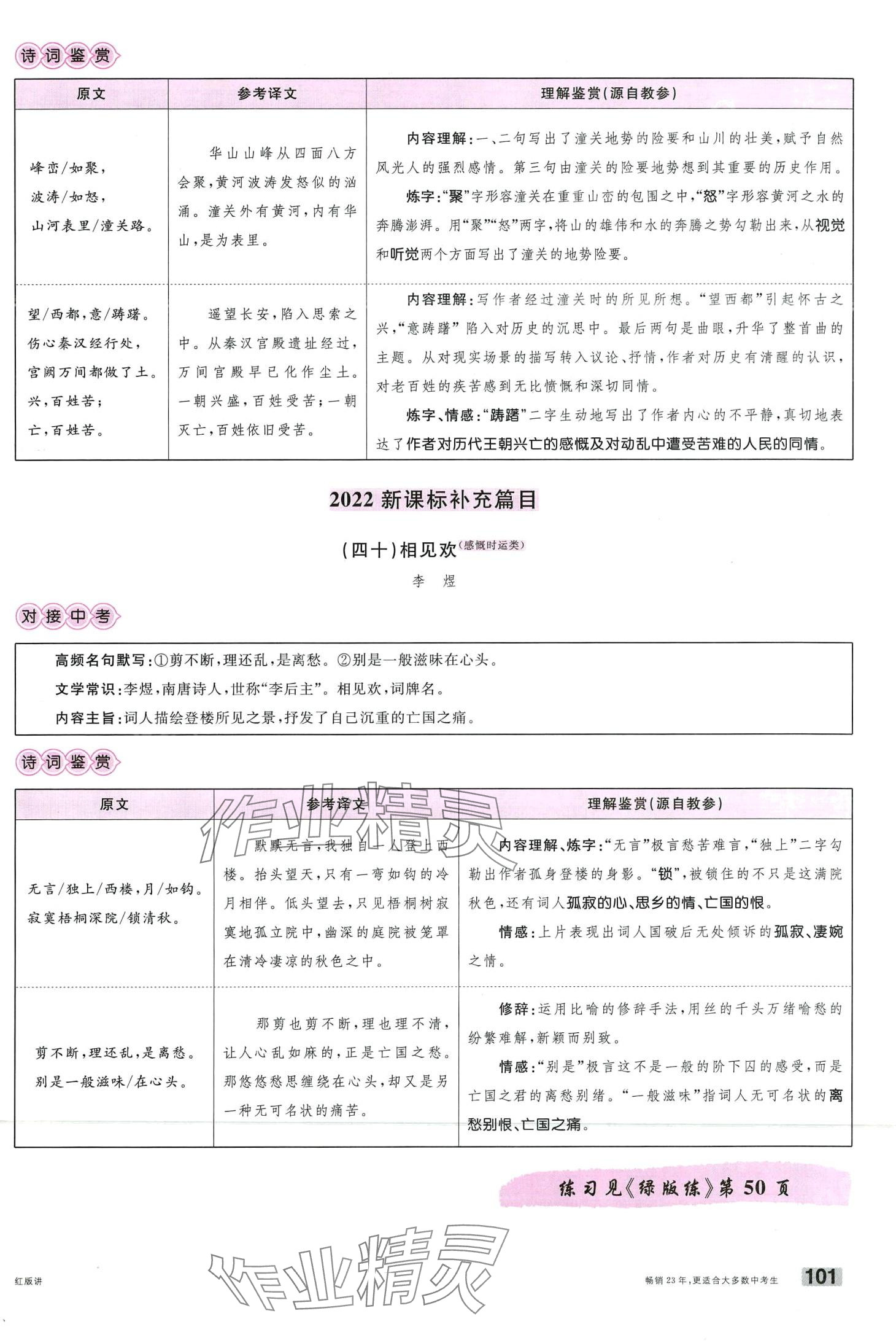 2024年火線100天語文中考云南專版 第101頁