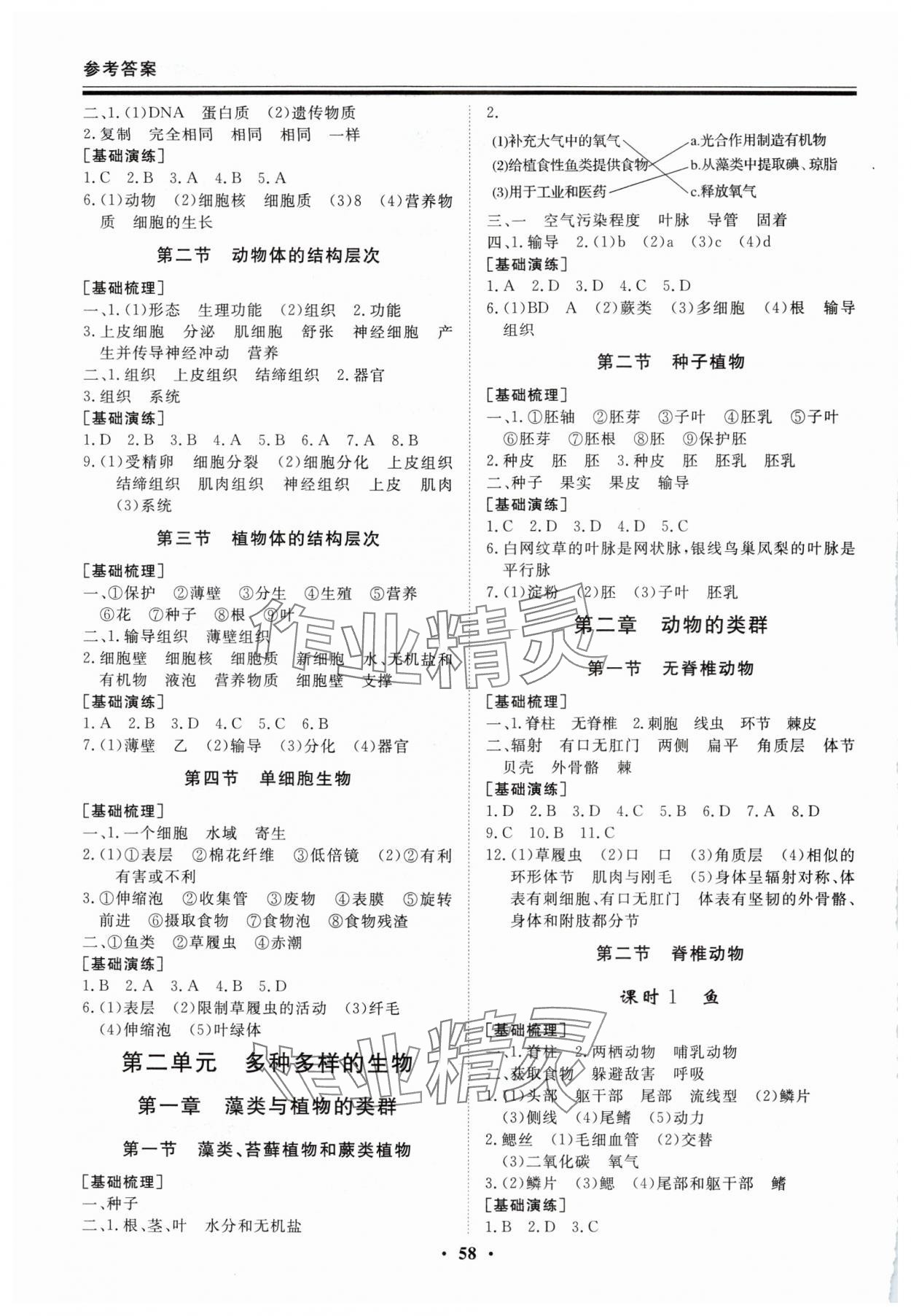 2025年新思维假期作业必刷题七年级生物人教版 第2页