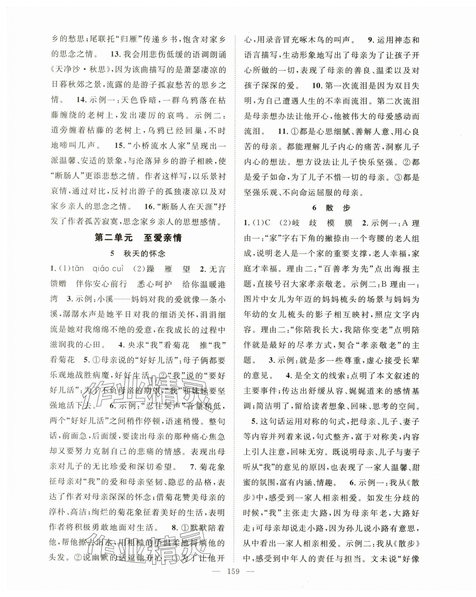 2025年名师学案七年级语文上册人教版 第3页