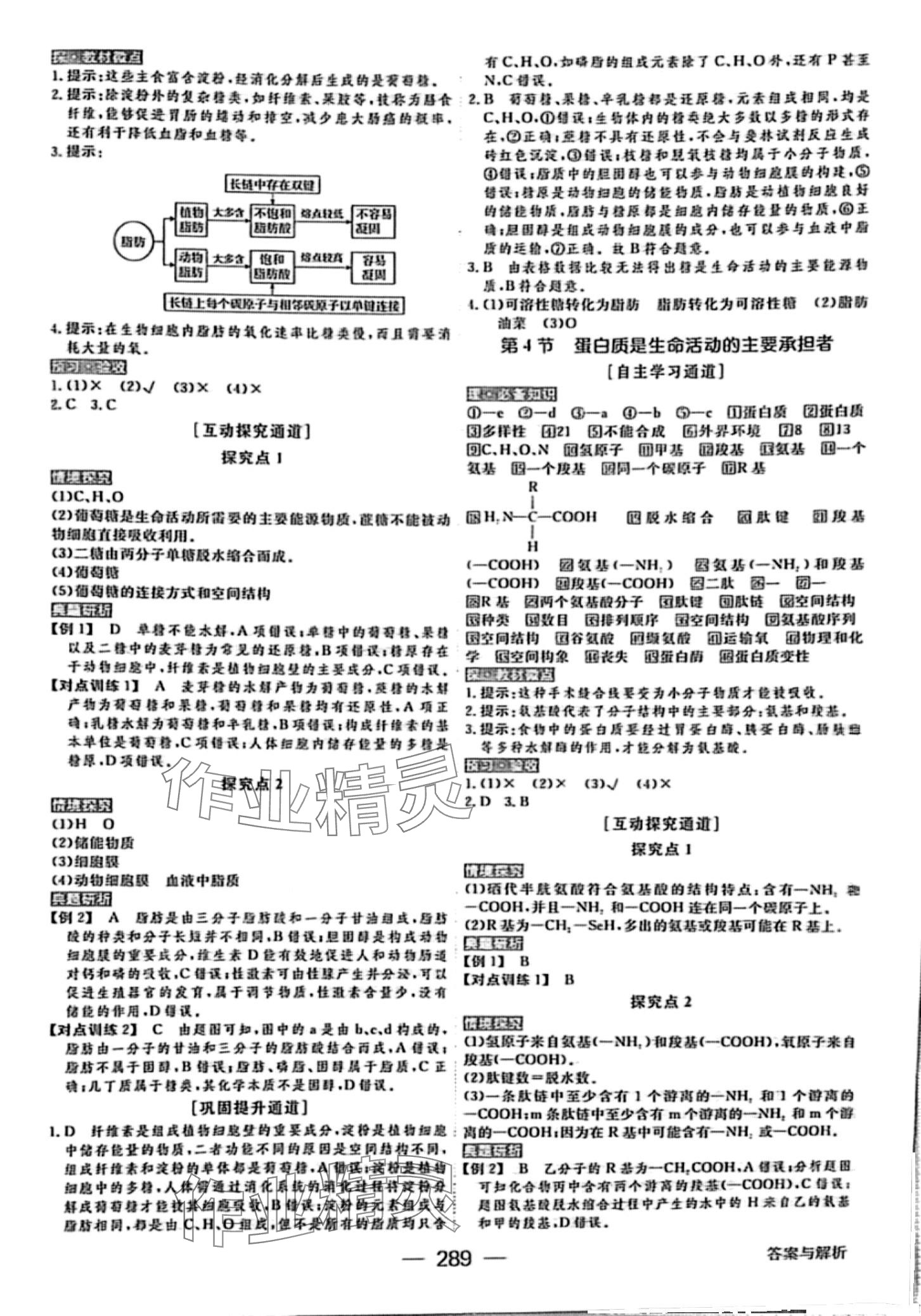 2024年綠色通道高中生物必修1 第4頁