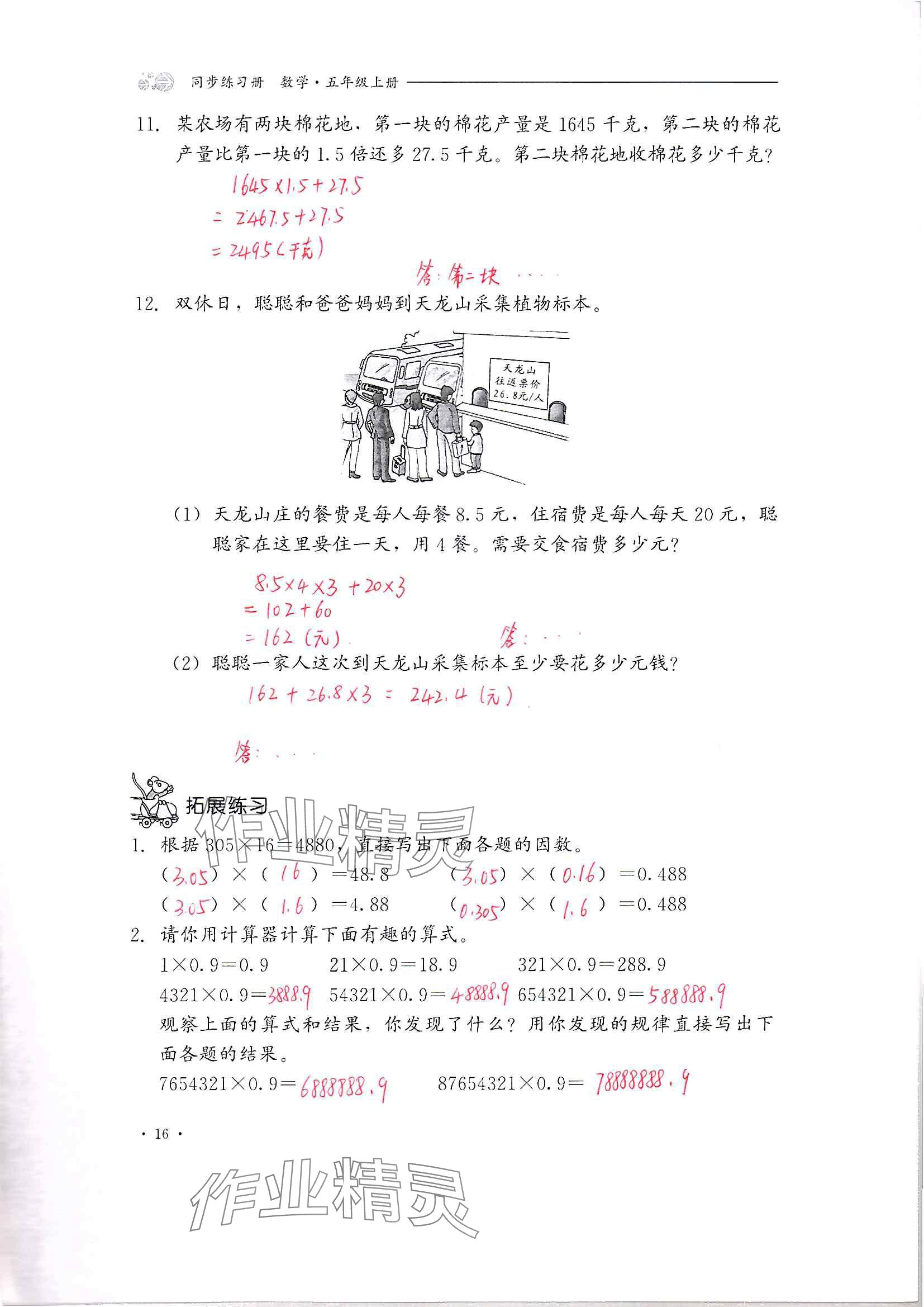 2024年同步練習冊河北教育出版社五年級數(shù)學上冊冀教版 參考答案第16頁