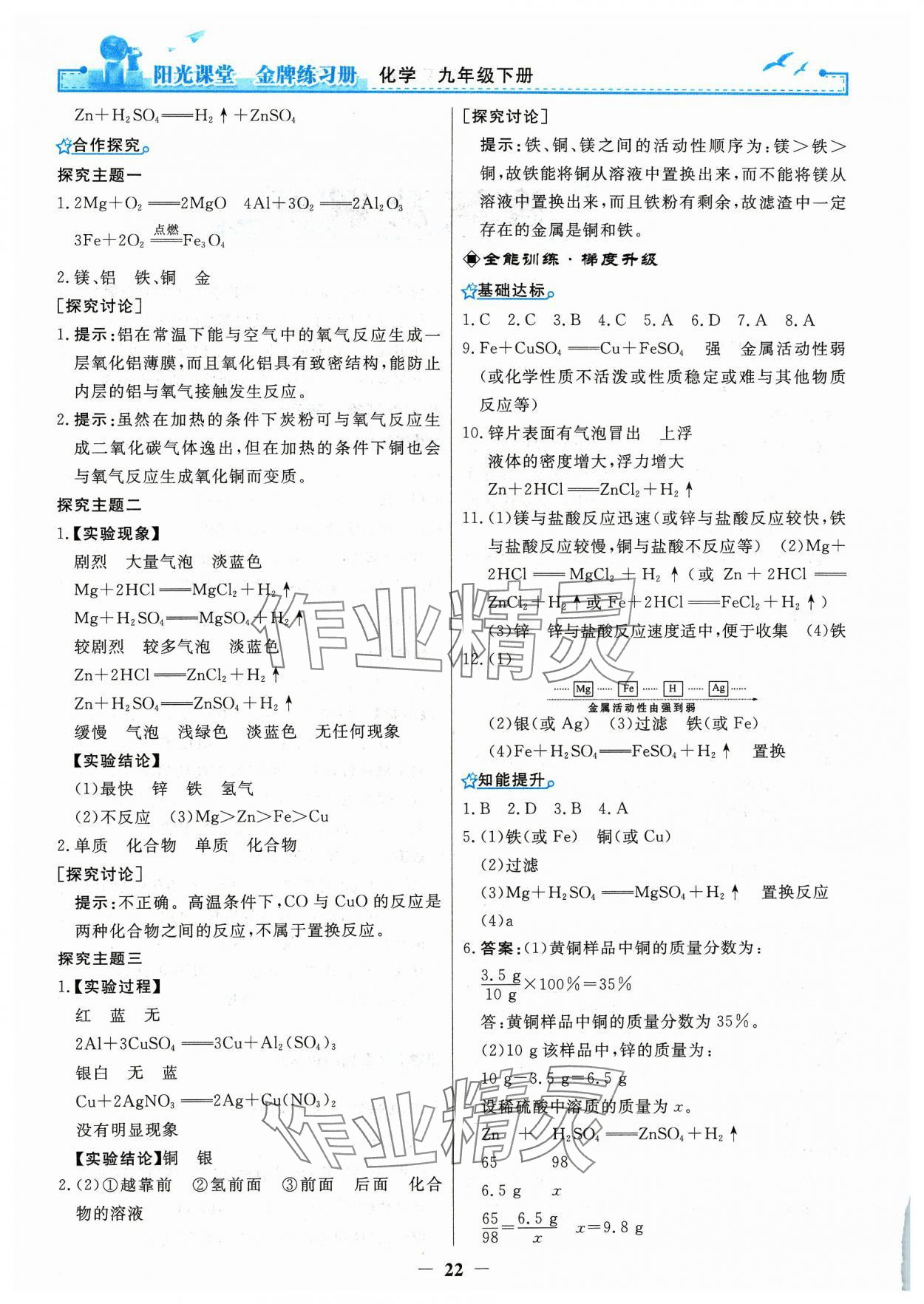 2024年陽光課堂金牌練習冊九年級化學下冊人教版 第2頁