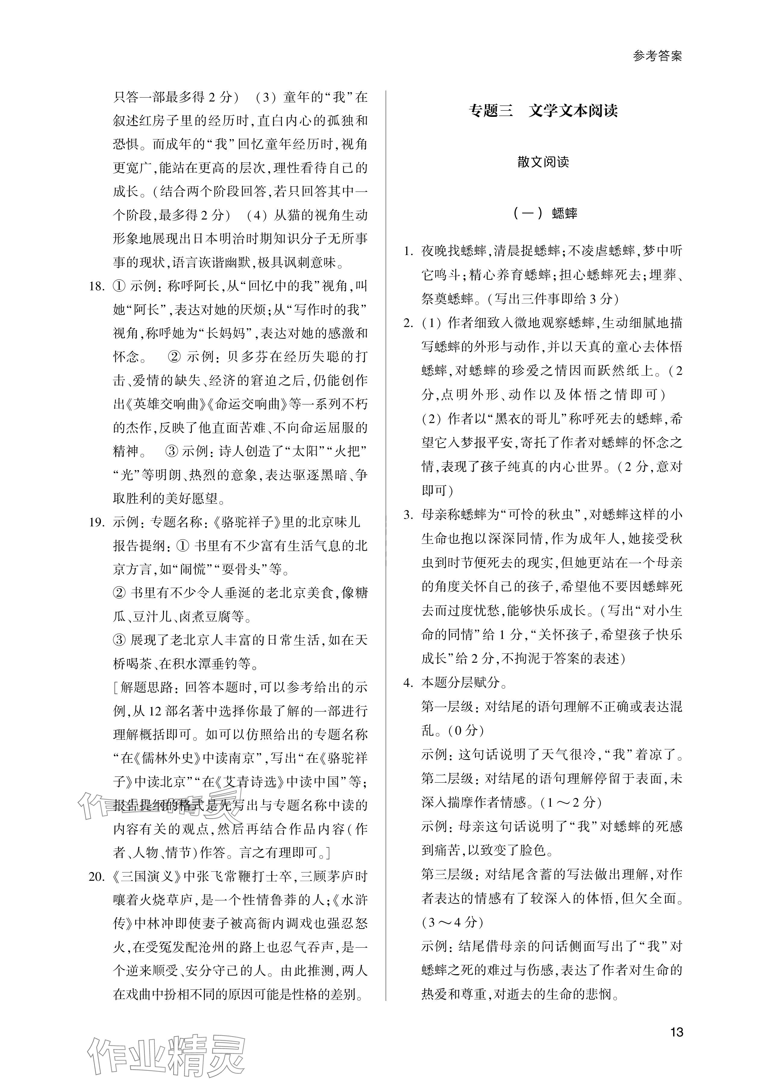 2024年樂支點中考高分沖刺語文&nbsp;參考答案第13頁