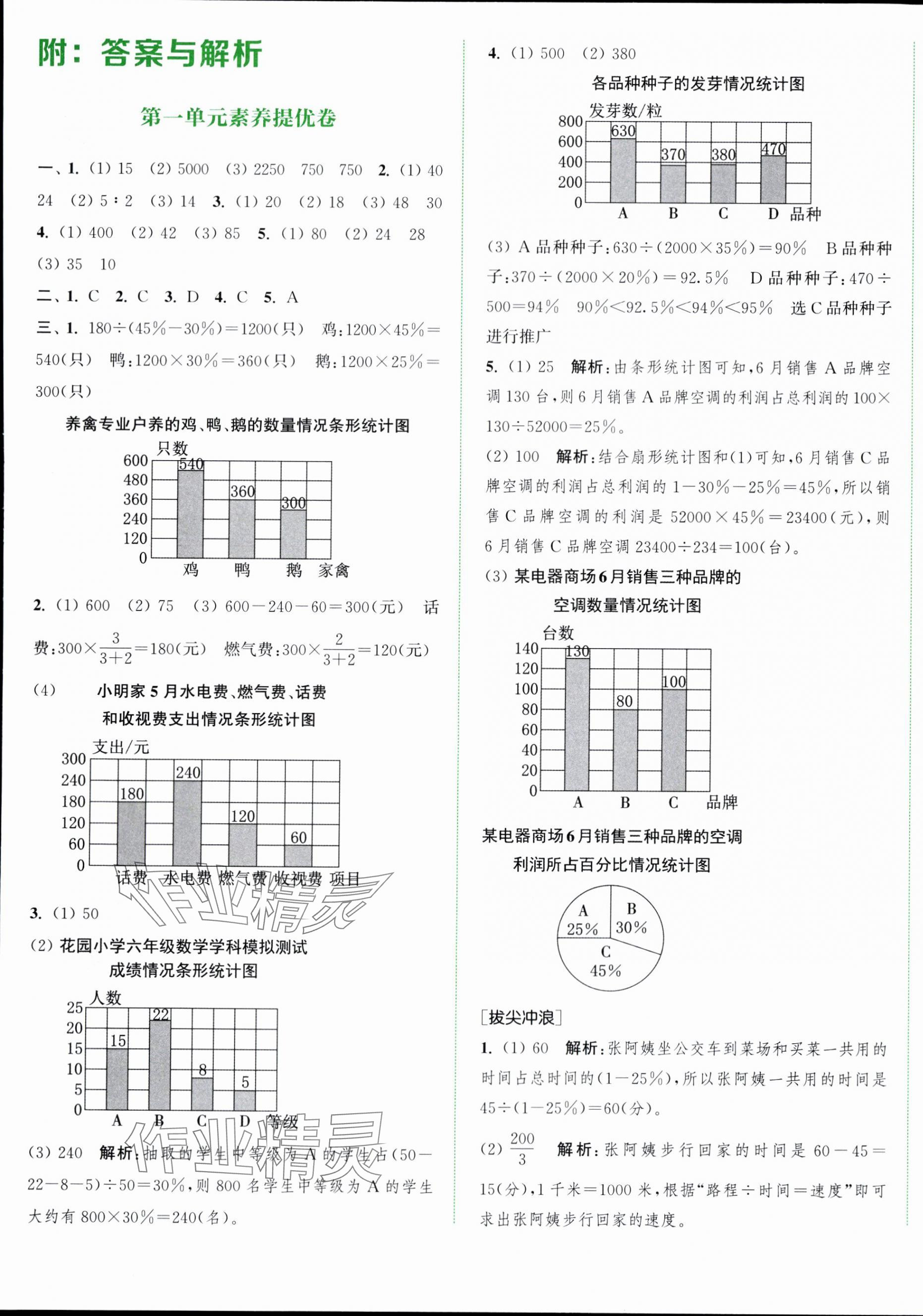 2024年通城學(xué)典拔尖大試卷六年級(jí)數(shù)學(xué)下冊(cè)蘇教版江蘇專版 第1頁