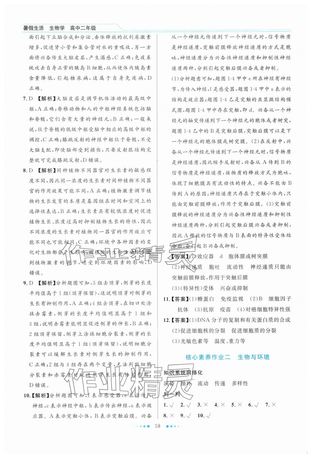 2025年暑假生活北京师范大学出版社高二生物人教版 第2页