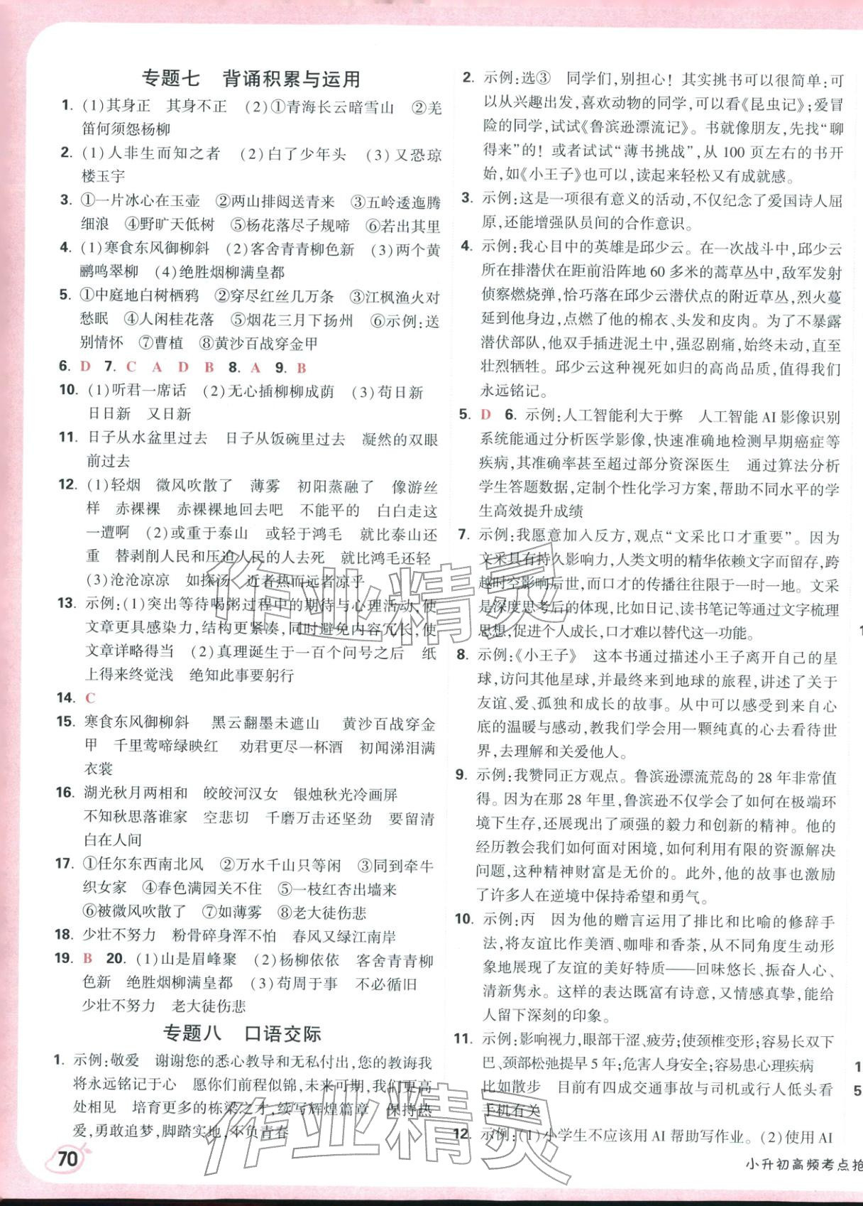 2026年小白鷗小升初高頻考點搶分卷語文&nbsp;第3頁