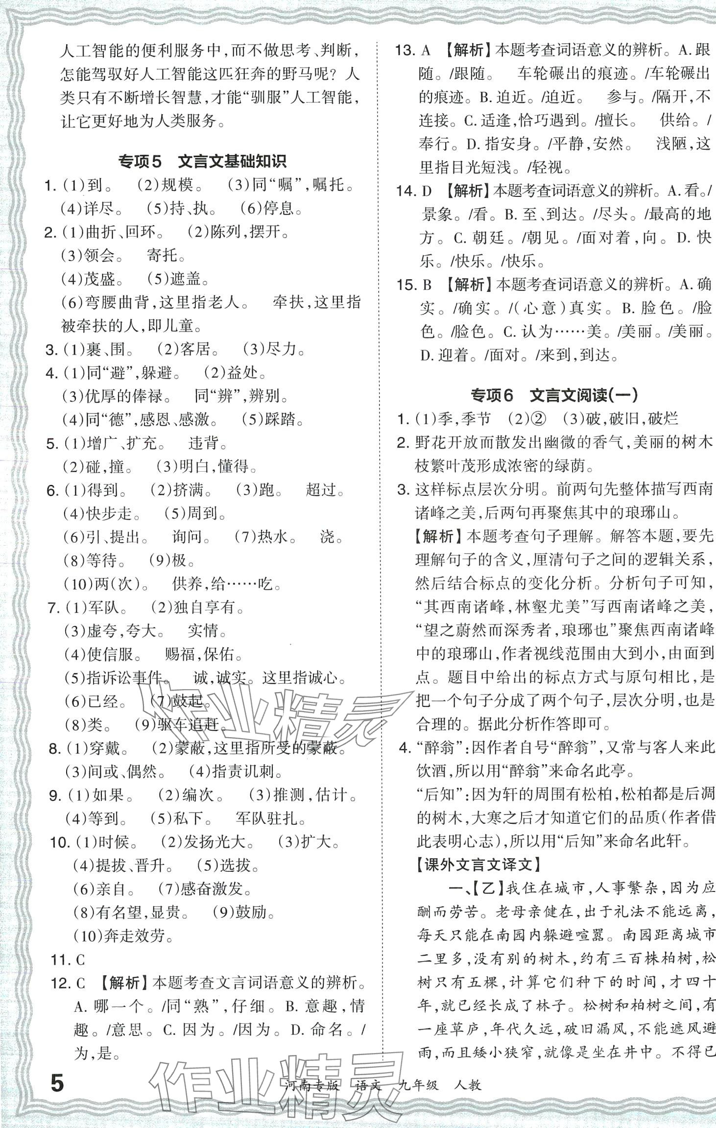 2024年王朝霞各地期末试卷精选九年级语文下册人教版河南专版 第5页