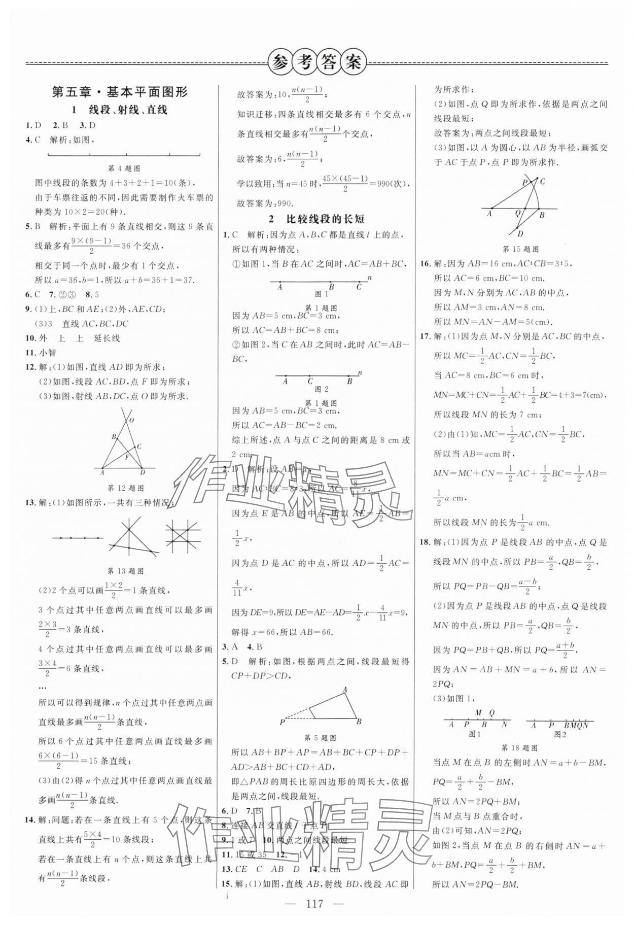 2024年细解巧练六年级数学下册鲁教版五四制 参考答案第1页