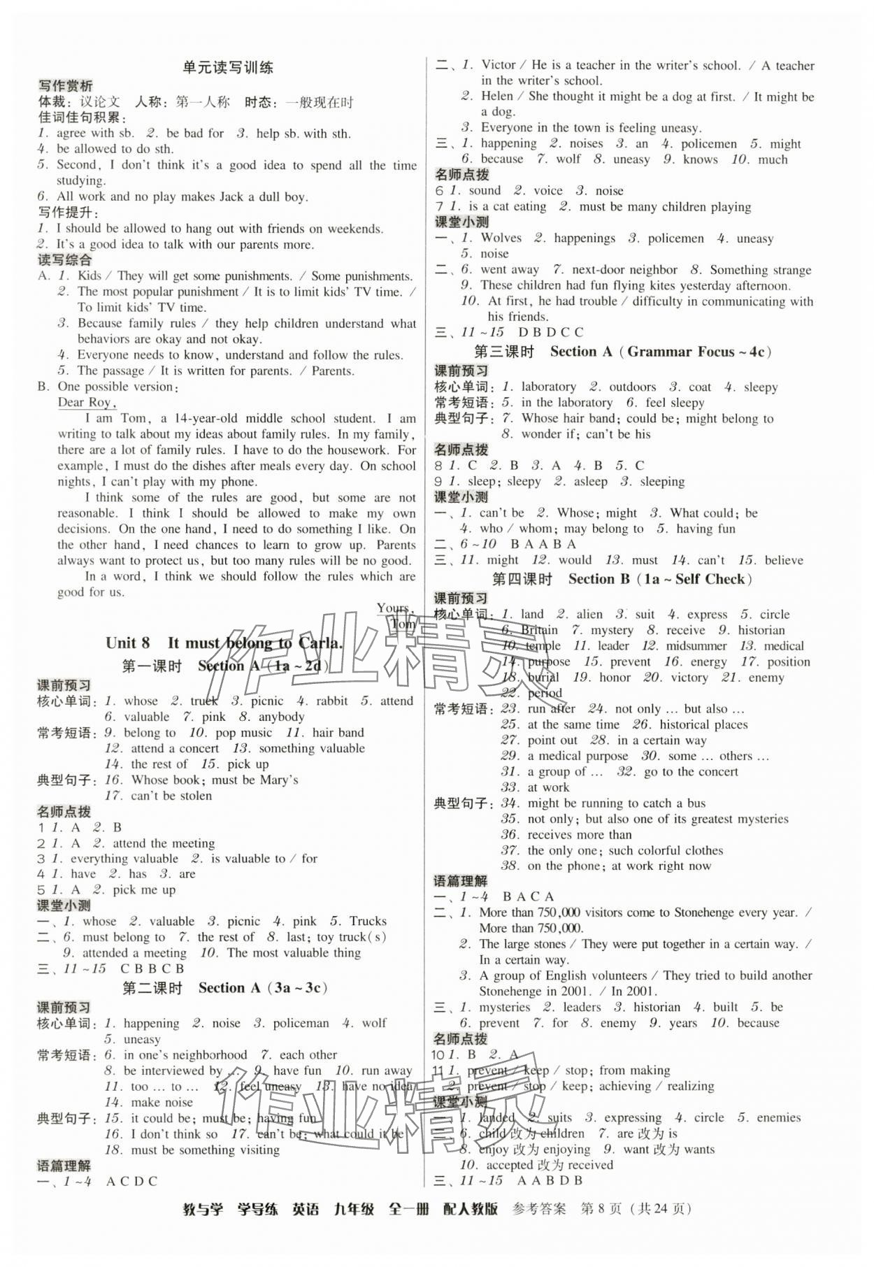 2024年教與學(xué)學(xué)導(dǎo)練九年級(jí)英語全一冊(cè)人教版 第8頁